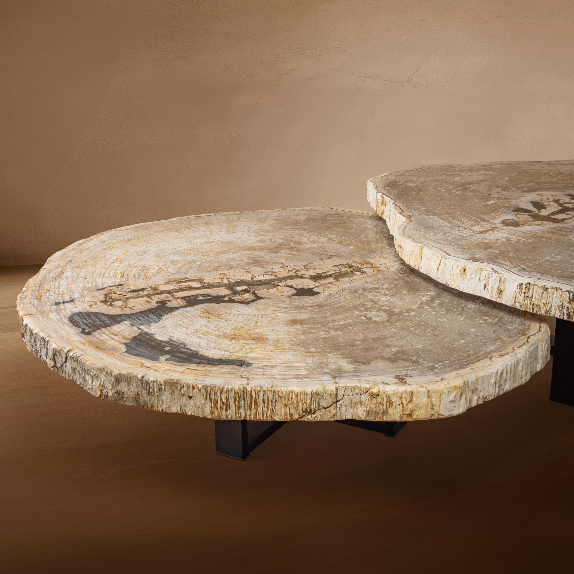 Pair of Authentic Miocene Petrified Wood Coffee Tables with Black Metal Base In New Condition For Sale In Polanco, CDMX