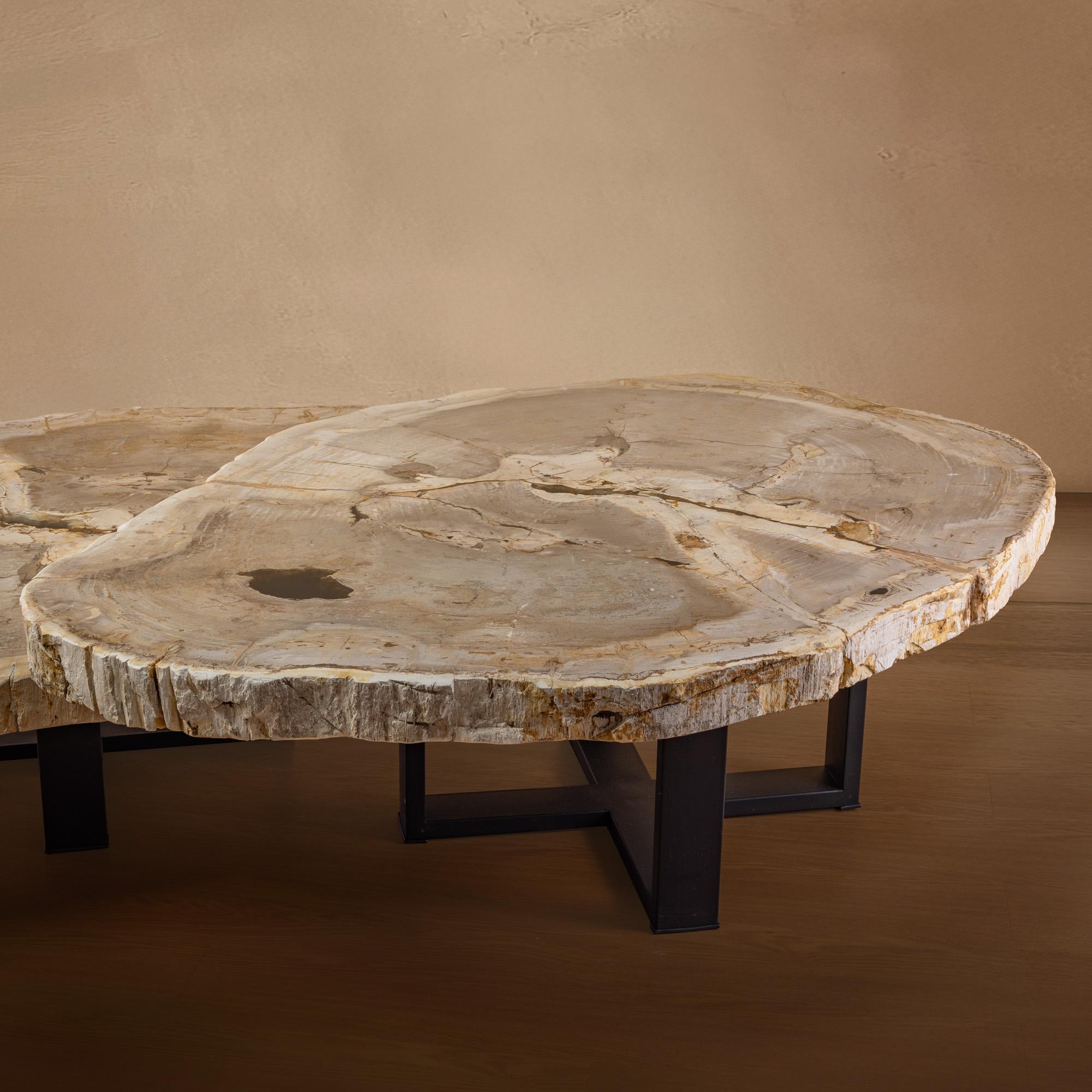 Coppia di autentici tavolini in legno pietrificato del Miocene con base in metallo nero In condizioni Nuovo in vendita a Polanco, CDMX