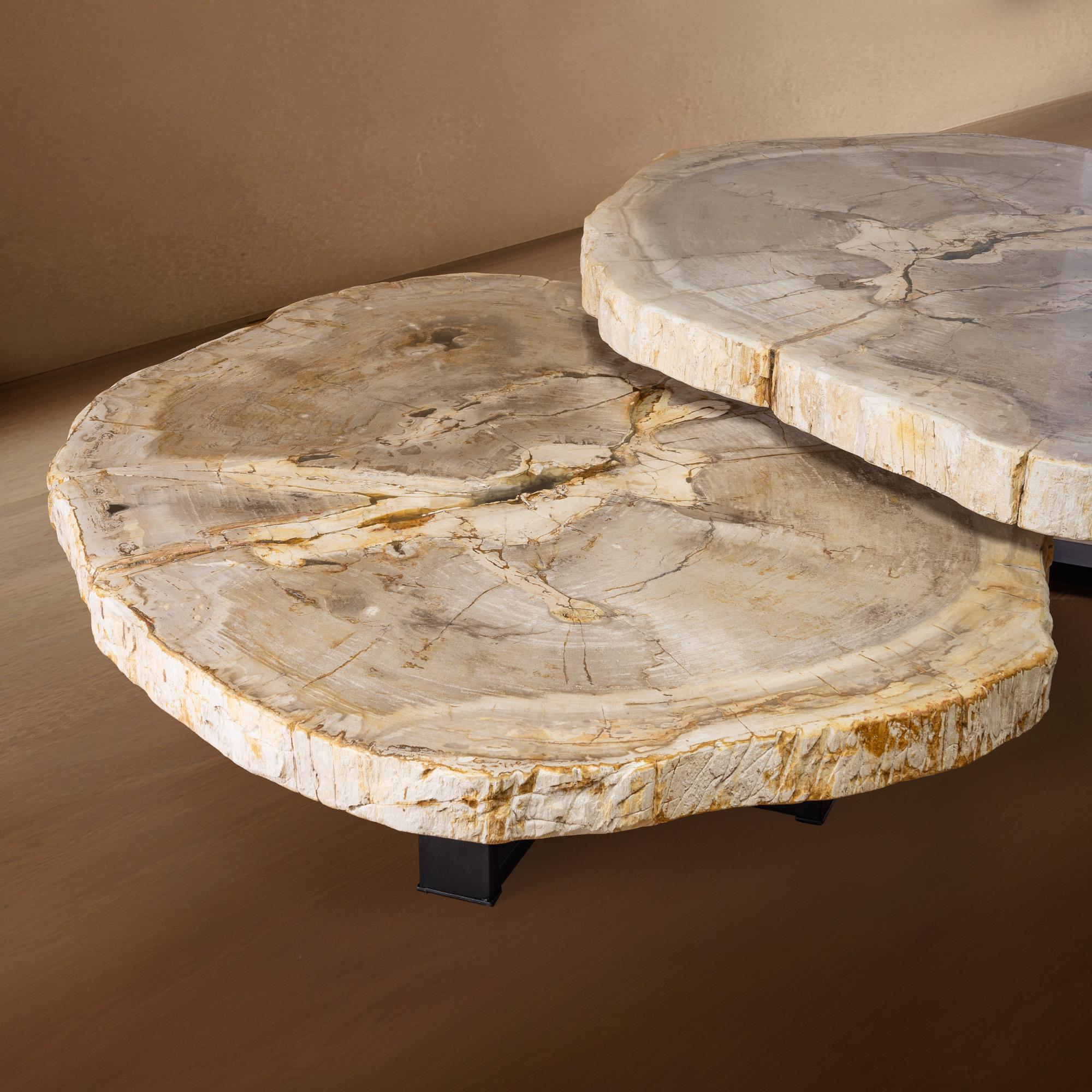 XXI secolo e contemporaneo Coppia di autentici tavolini in legno pietrificato del Miocene con base in metallo nero in vendita