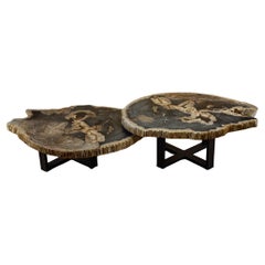 Pair of Authentic Miocene Petrified Wood Coffee Tables with Black Metal Base