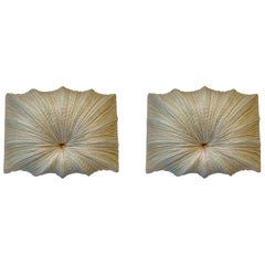 Pair of Ayala Serfaty Aqua Creations Zika Wall Sconces Wall Lights