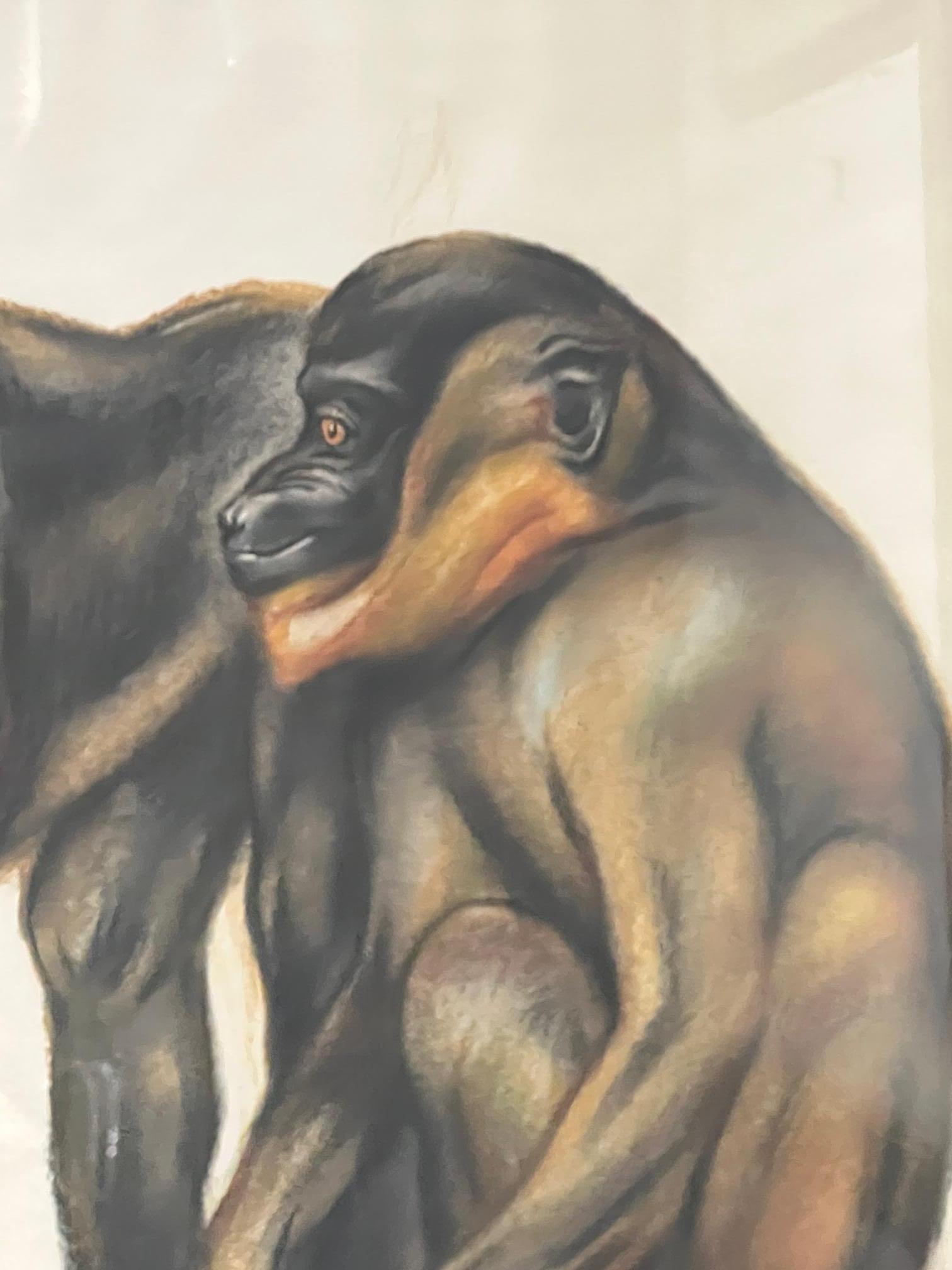 French Pair of Baboons by André Margat For Sale