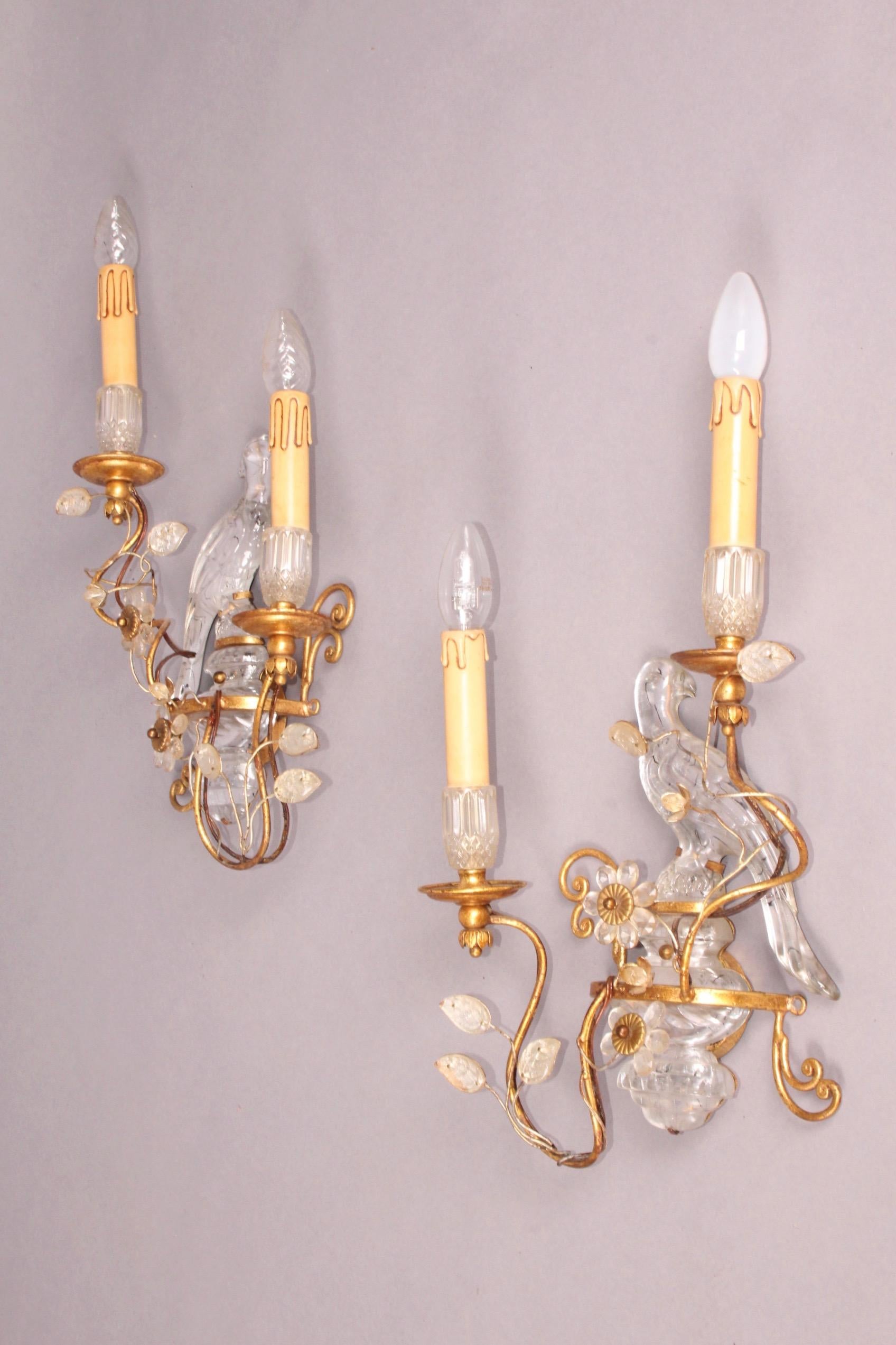 Pair of Parrot Wall Sconces 1