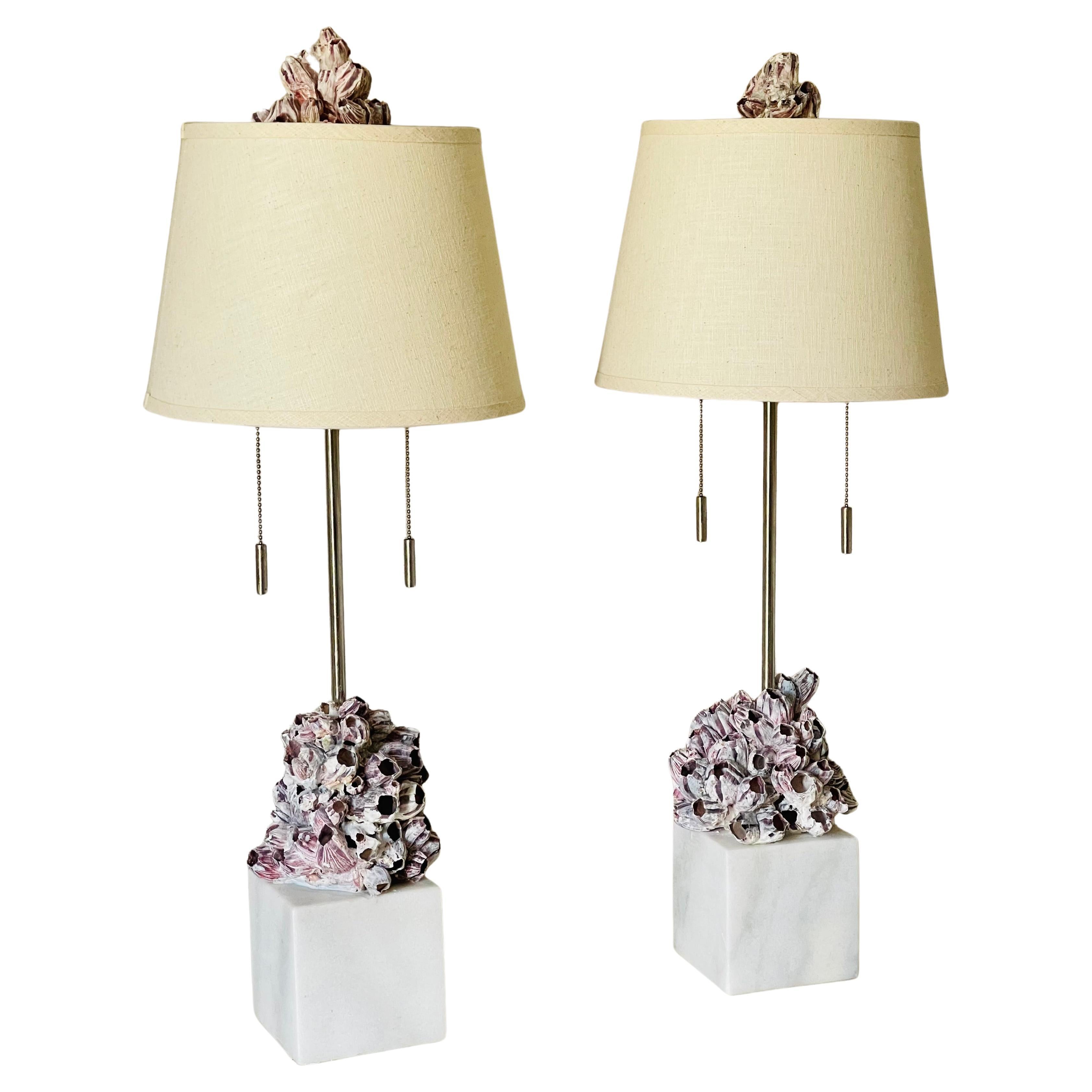 Shell lamps for sale new arrivals