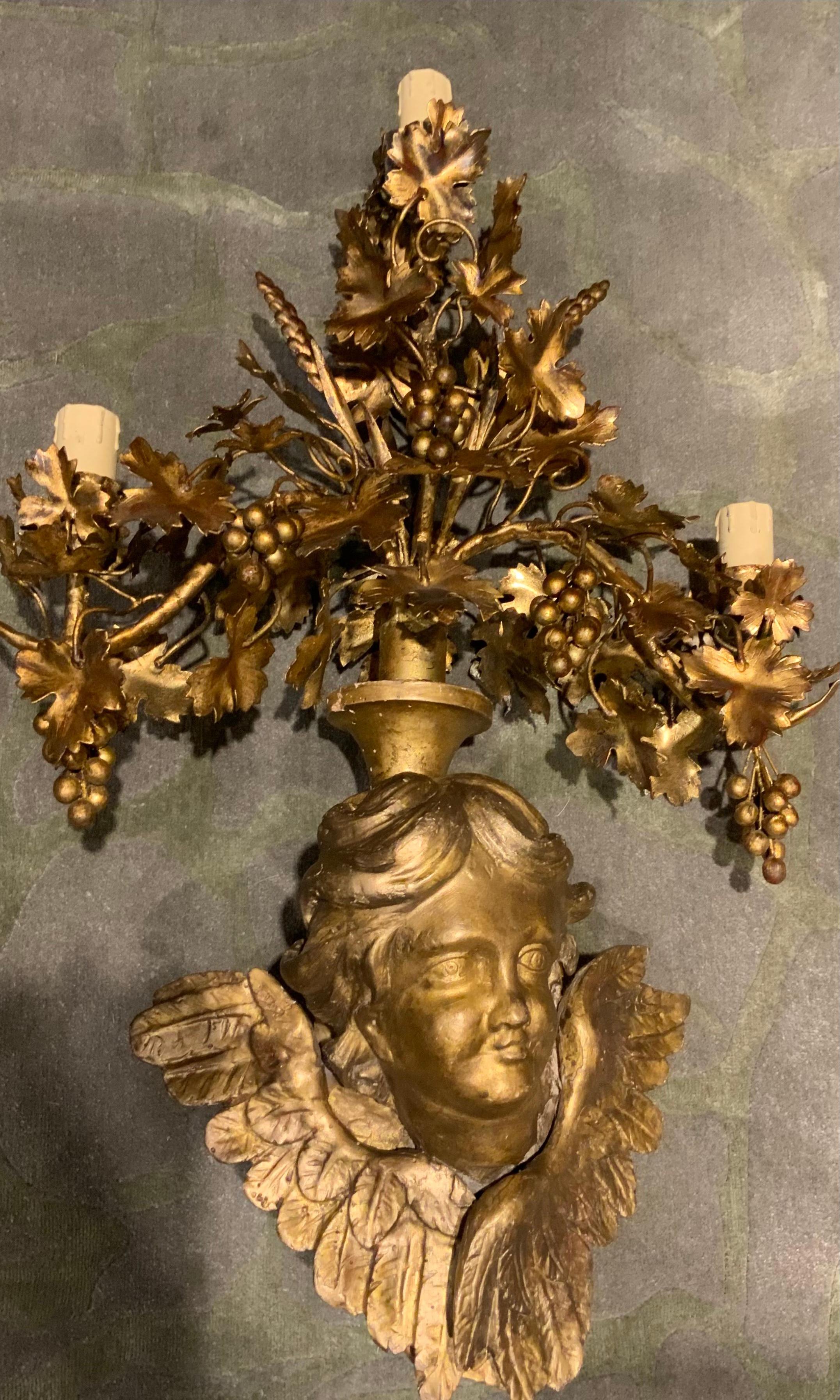 These sconces are special because of the age and beautifully 
Condition. The angel heads are well carved and gilded with
Lovely carved wings. The arms are gracefully curved in a 
Scrolling fashion and embellished with clusters of grapes.
Three