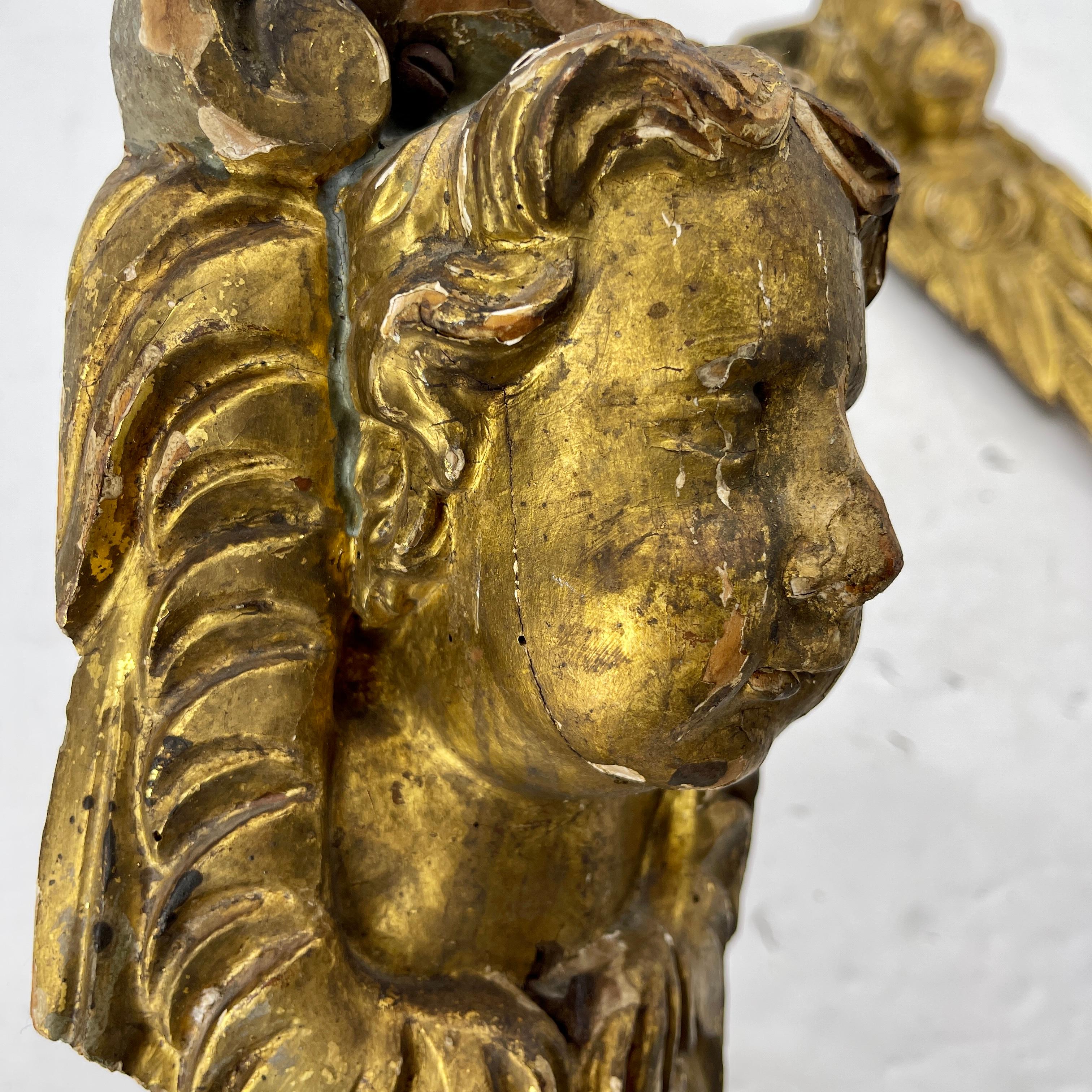 Pair of Baroque Gilt Wood Cherubs Putti Architectural Wall Carvings For Sale 11