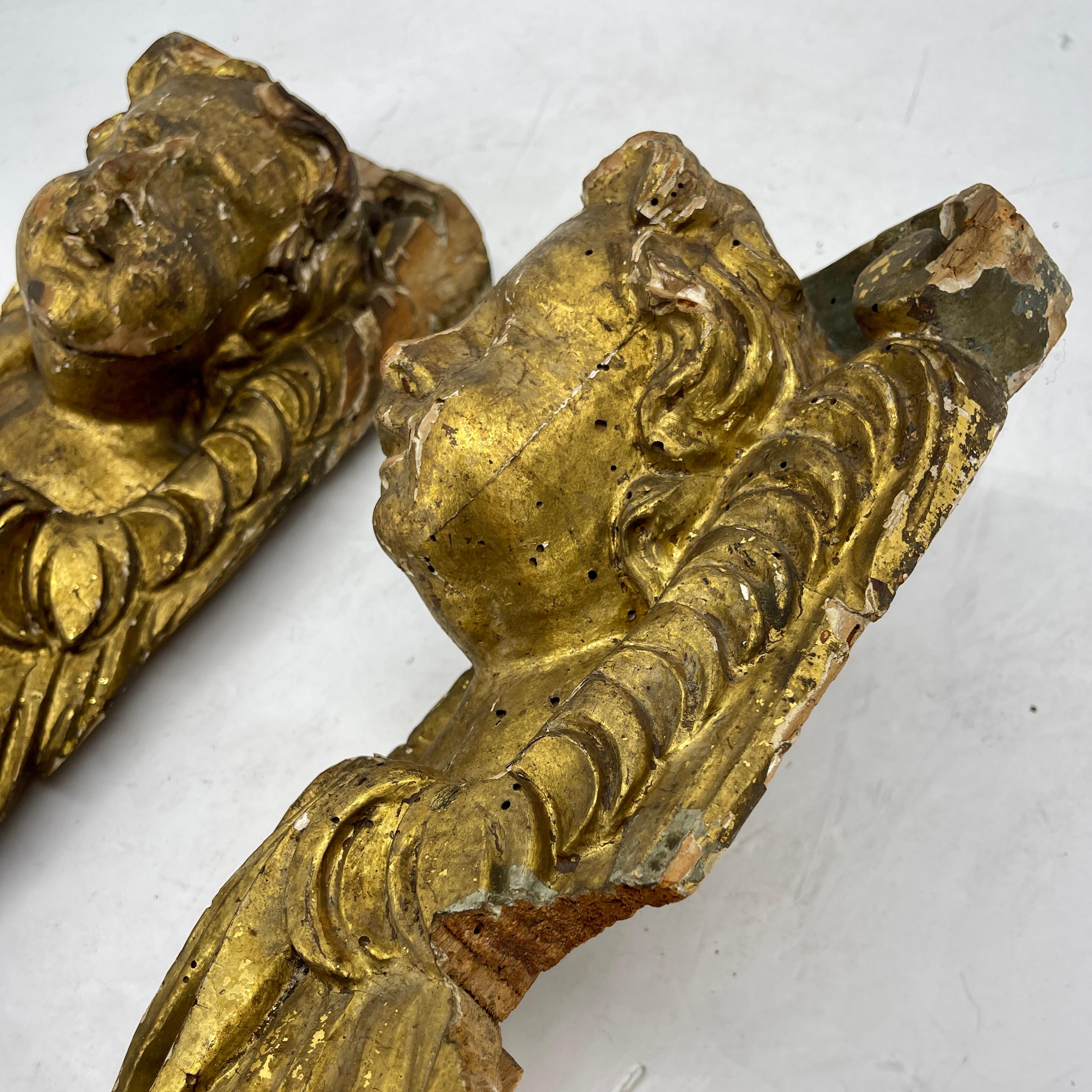 Pair of Baroque Gilt Wood Cherubs Putti Architectural Wall Carvings For Sale 12