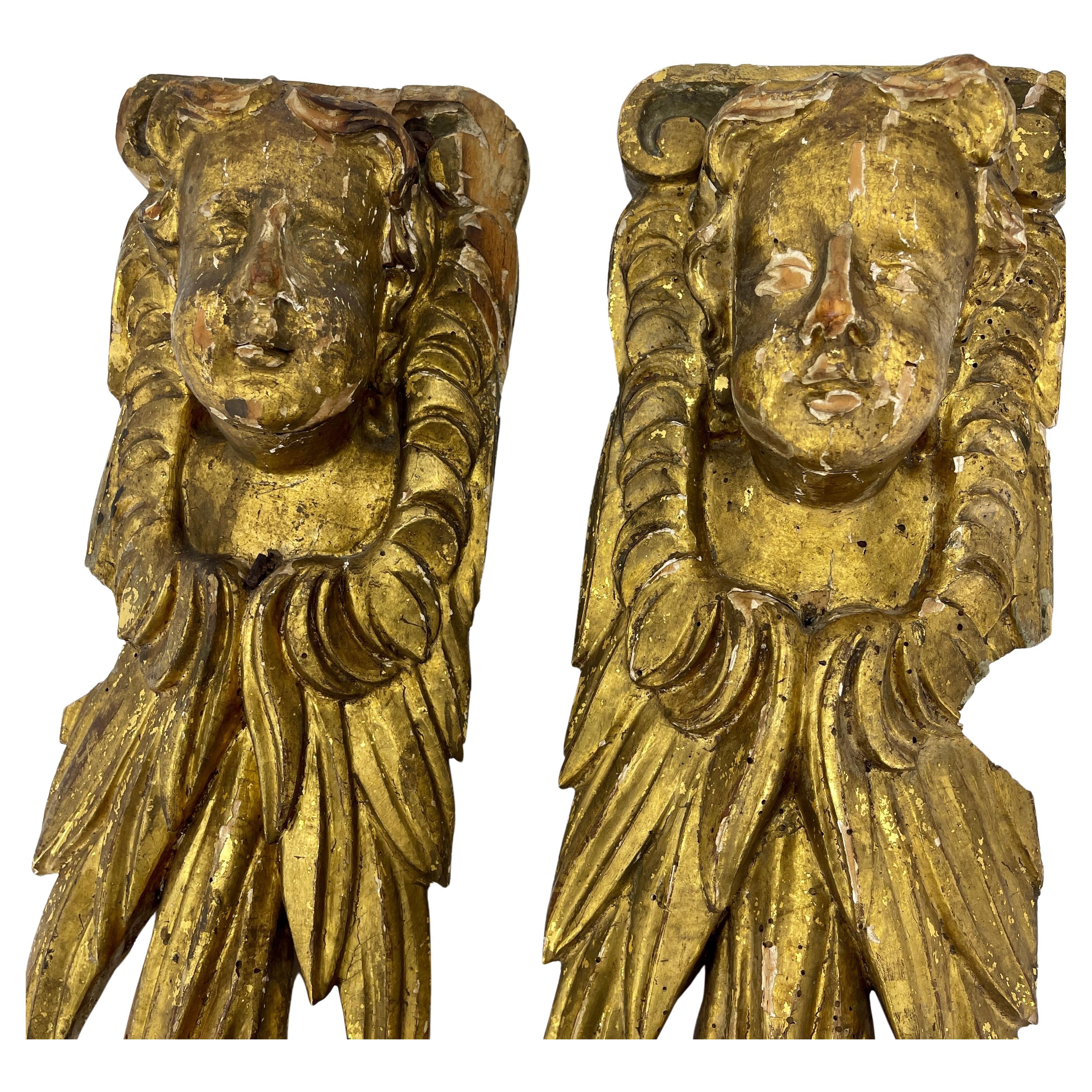 Paire de chérubins figuratifs italiens en bois doré, sculptures architecturales sur pilastre, de style baroque, vers 1740.
Notez que les visages de ces sculptures sont sculptés individuellement pour se regarder les uns les autres. C'est rare car