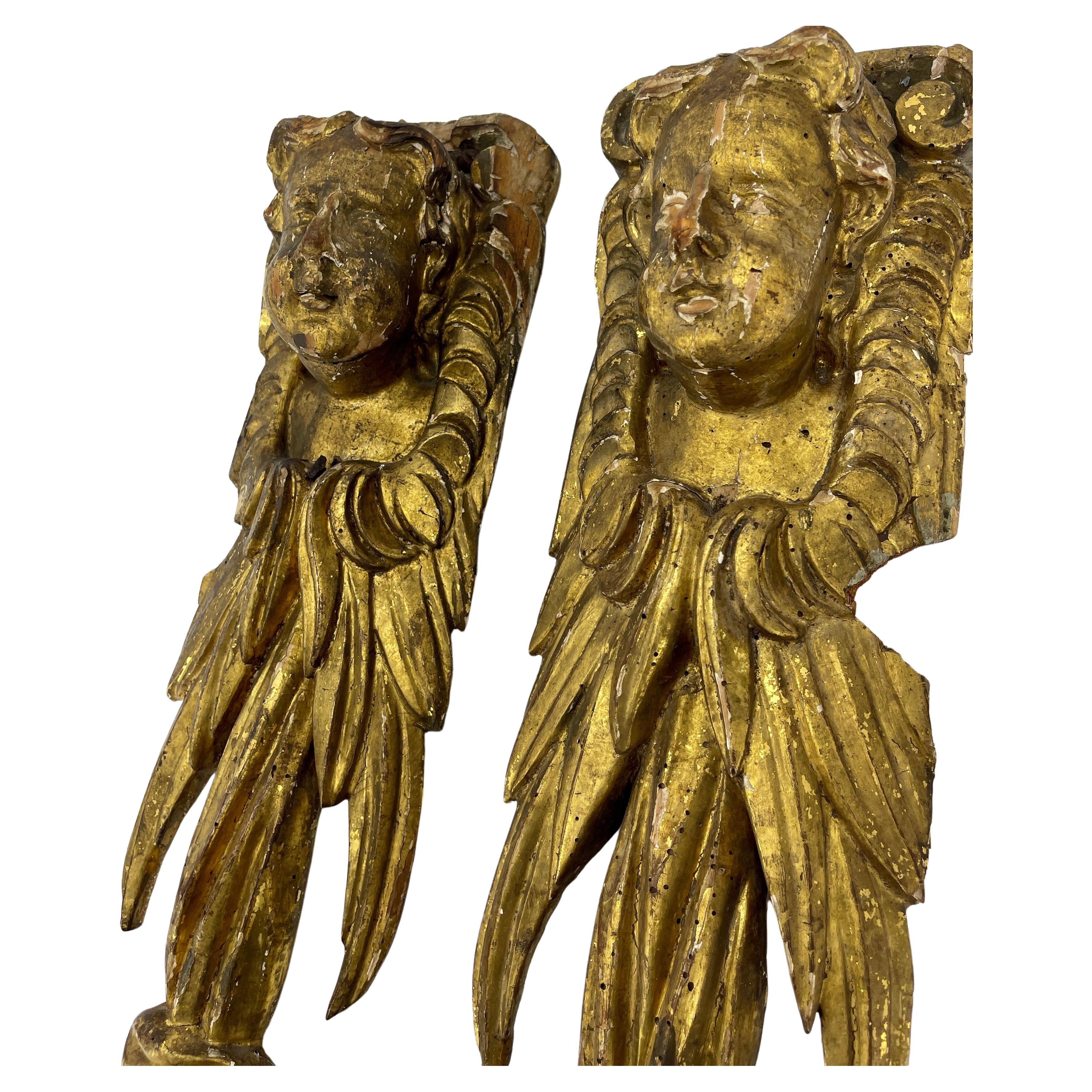 Italian Pair of Baroque Gilt Wood Cherubs Putti Architectural Wall Carvings For Sale