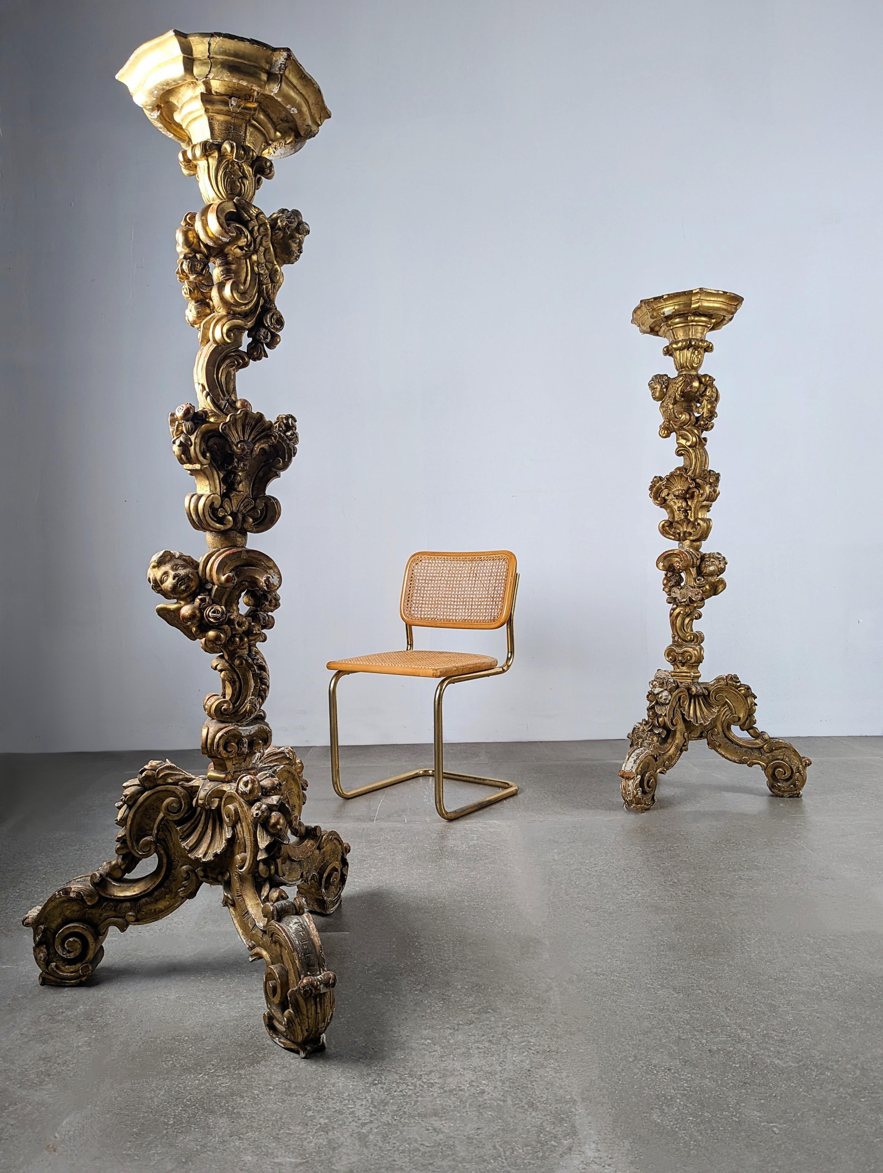 This impressive pair of 19th century Italian torches are a sublime work of European Baroque art. Carved in golden wood, it gives us an exquisite decoration of angels among fruits and shells, uniquely representing unparalleled strength and
