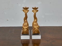 Pareja de tallas de delfines de madera dorada de estilo barroco sobre bases de lucita, S. XIX