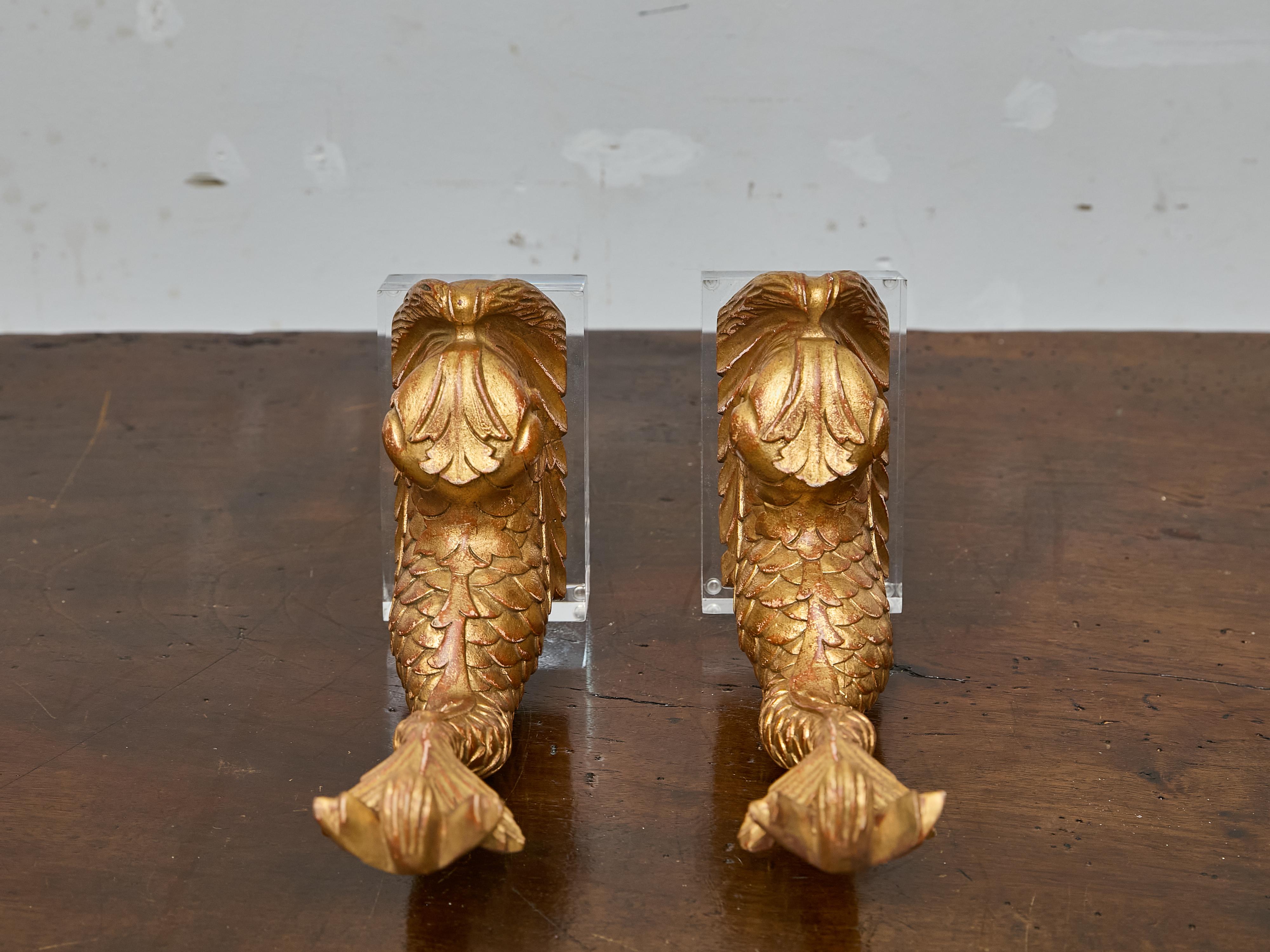 Lucite Coppia di sculture di delfini in legno dorato in stile barocco su basi in lucite, XIX secolo in vendita