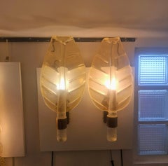 Pair of Barovier & Toso wall lights in Murano glass