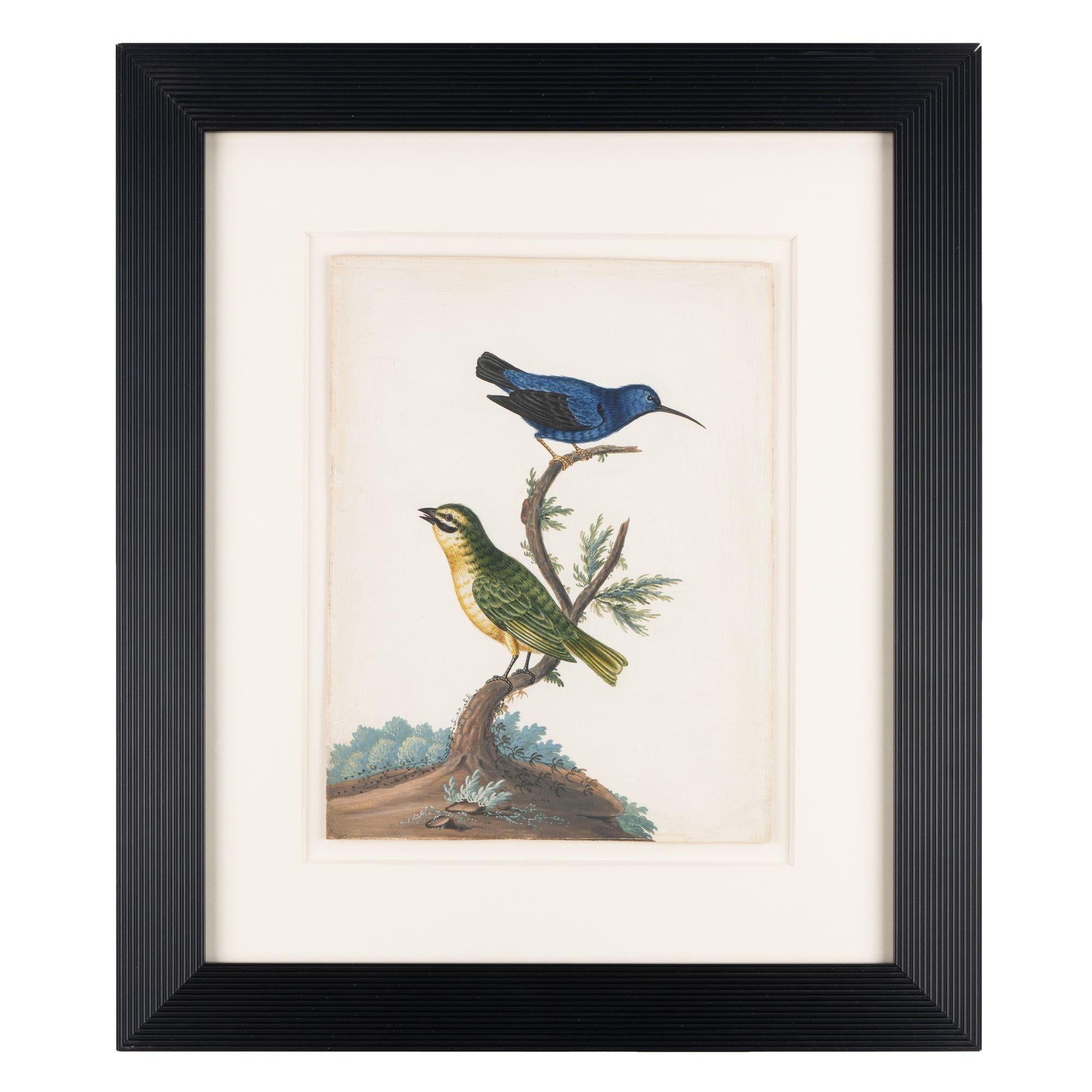 Pair of basso-relievo ornithological studies by Isaac Spackman, 1754-69 For Sale 2