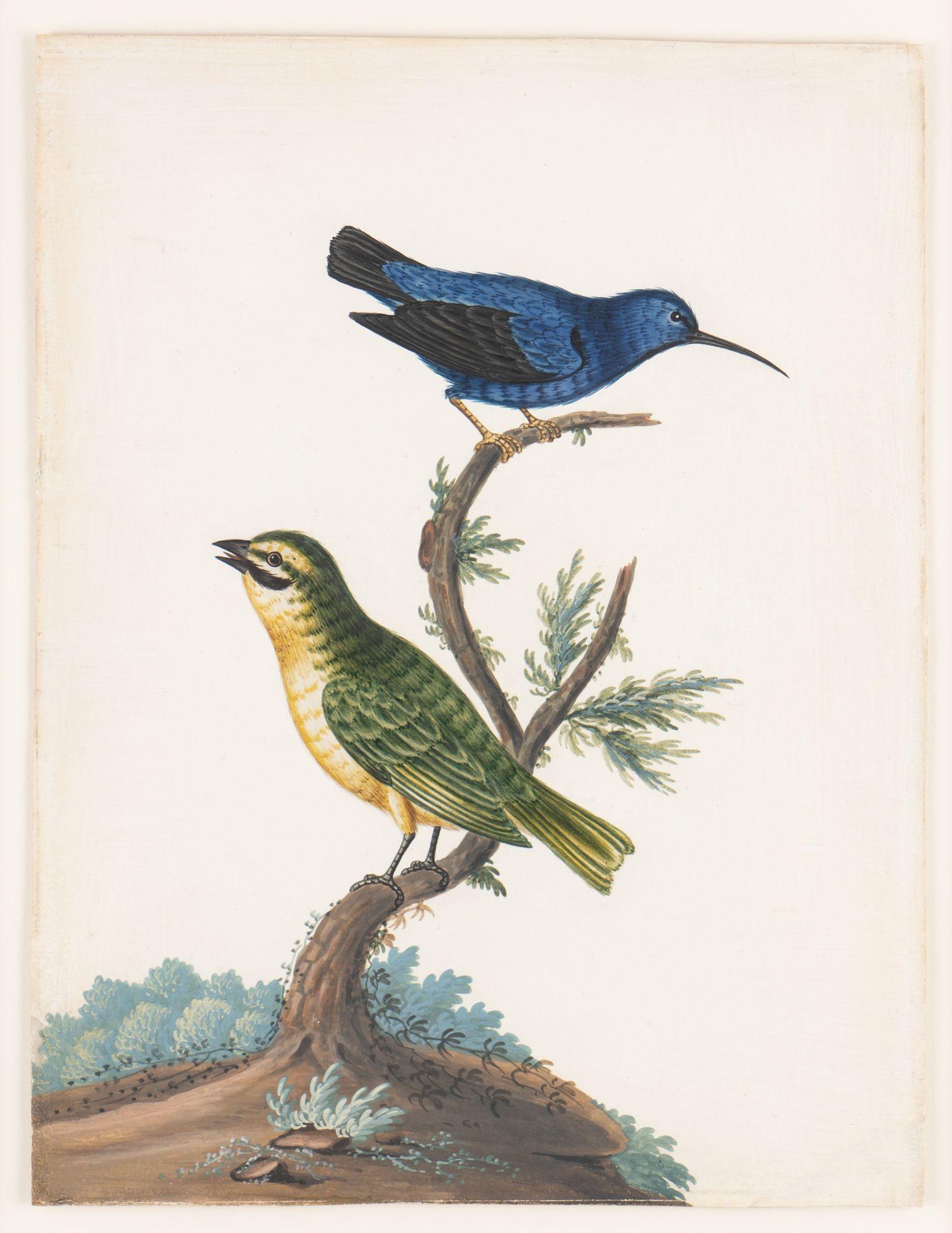 Ein Paar basso-relievo- ornithologische Studien von Isaac Spackman, 1754-69 im Angebot 2