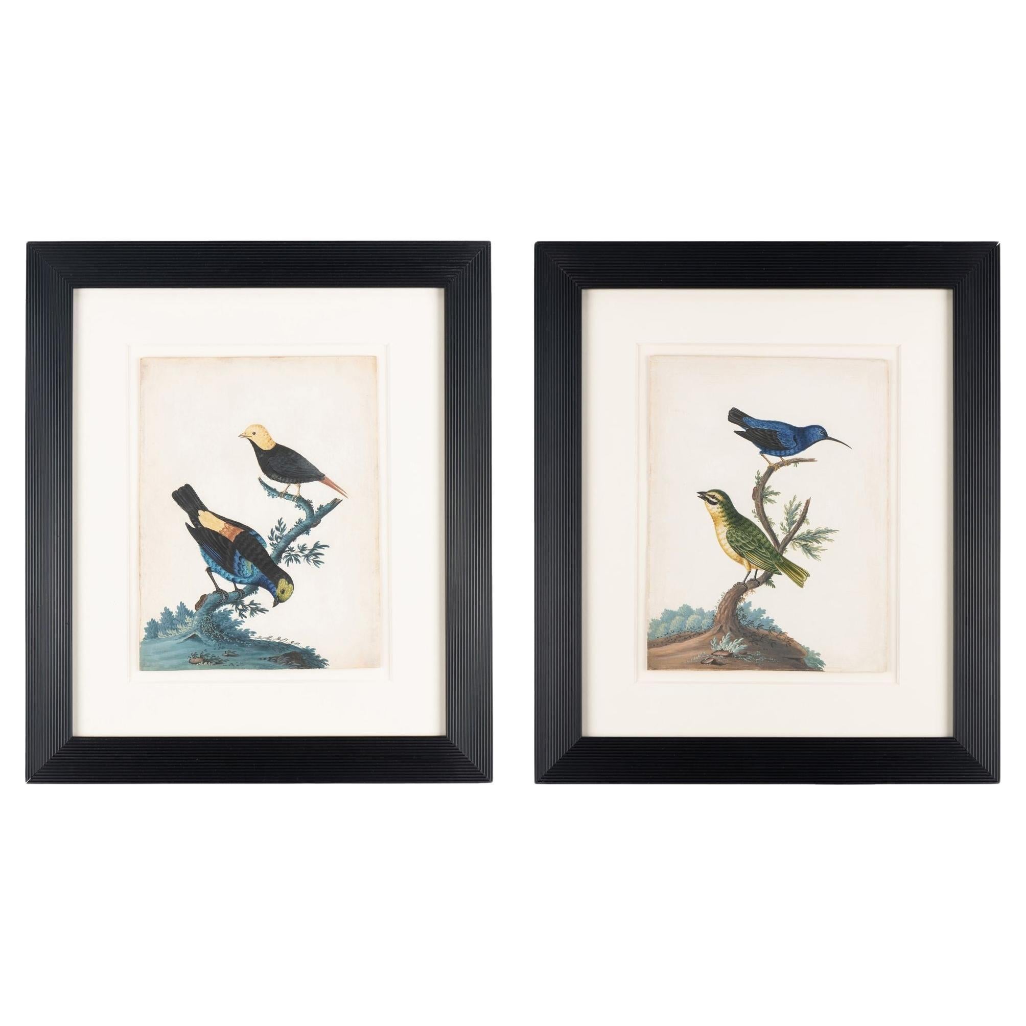 Pair of basso-relievo ornithological studies by Isaac Spackman, 1754-69 For Sale