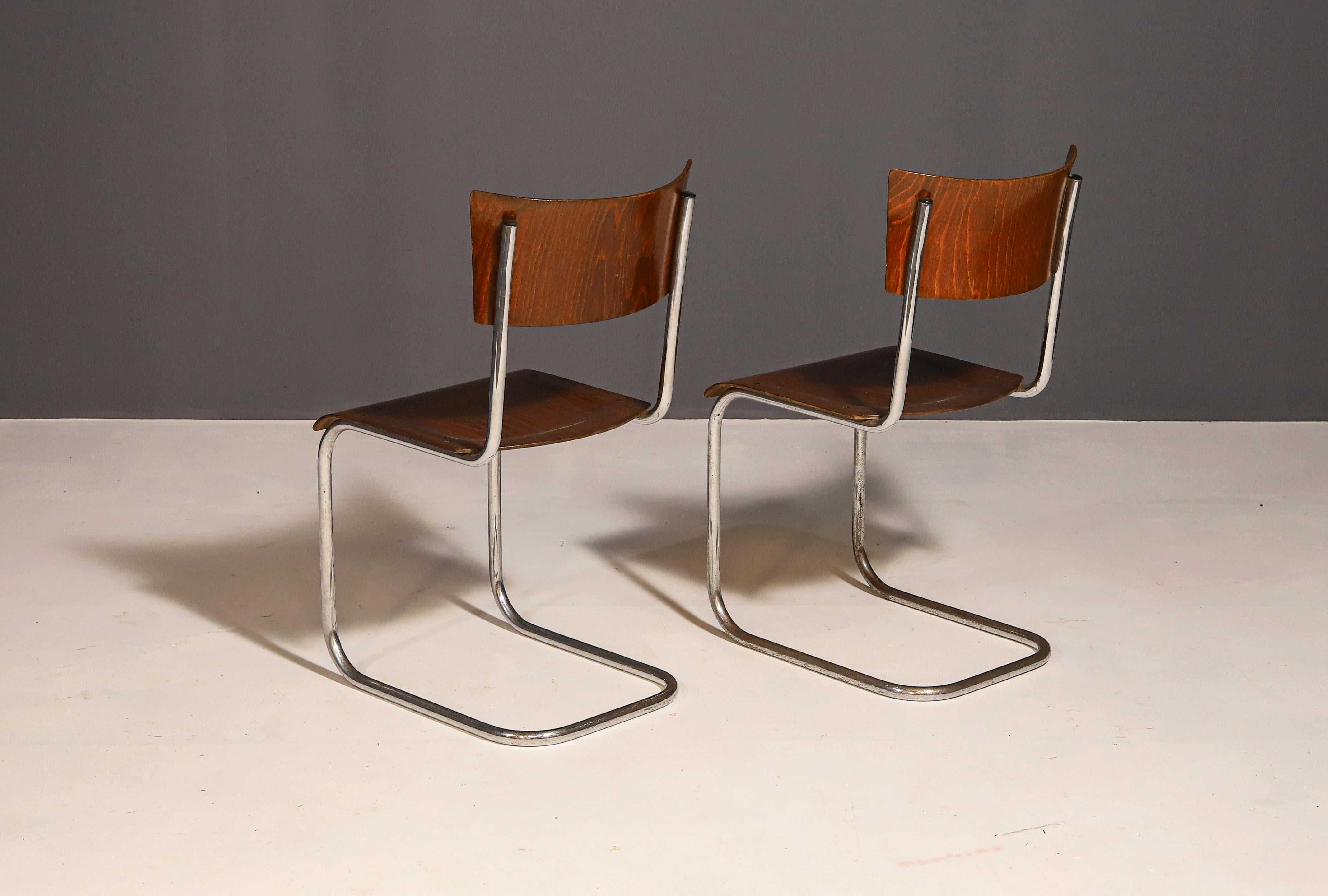 Pareja de sillas Bauhaus S43 de Mart Stam para Kovona, años 50 en Bueno estado para la venta en Prague 8, CZ