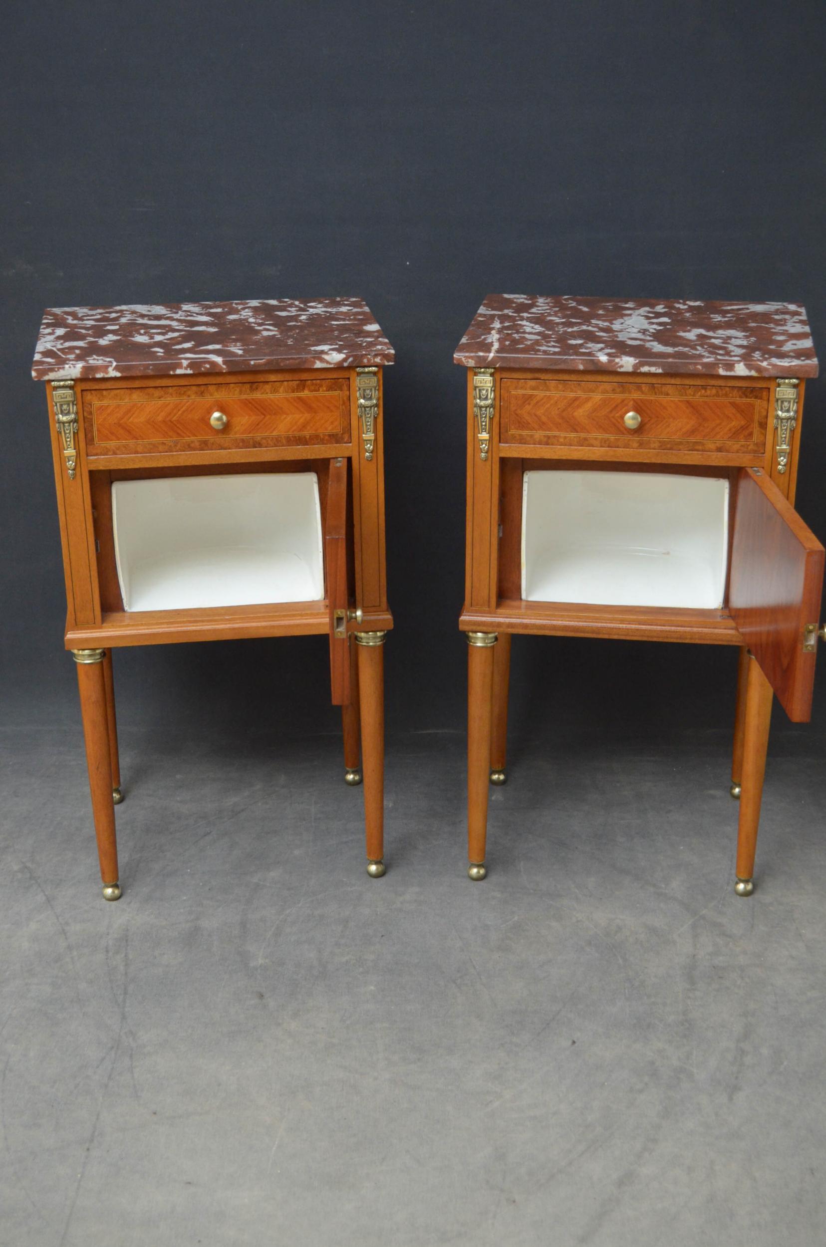 19th Century Pair of Bedside Cabinets