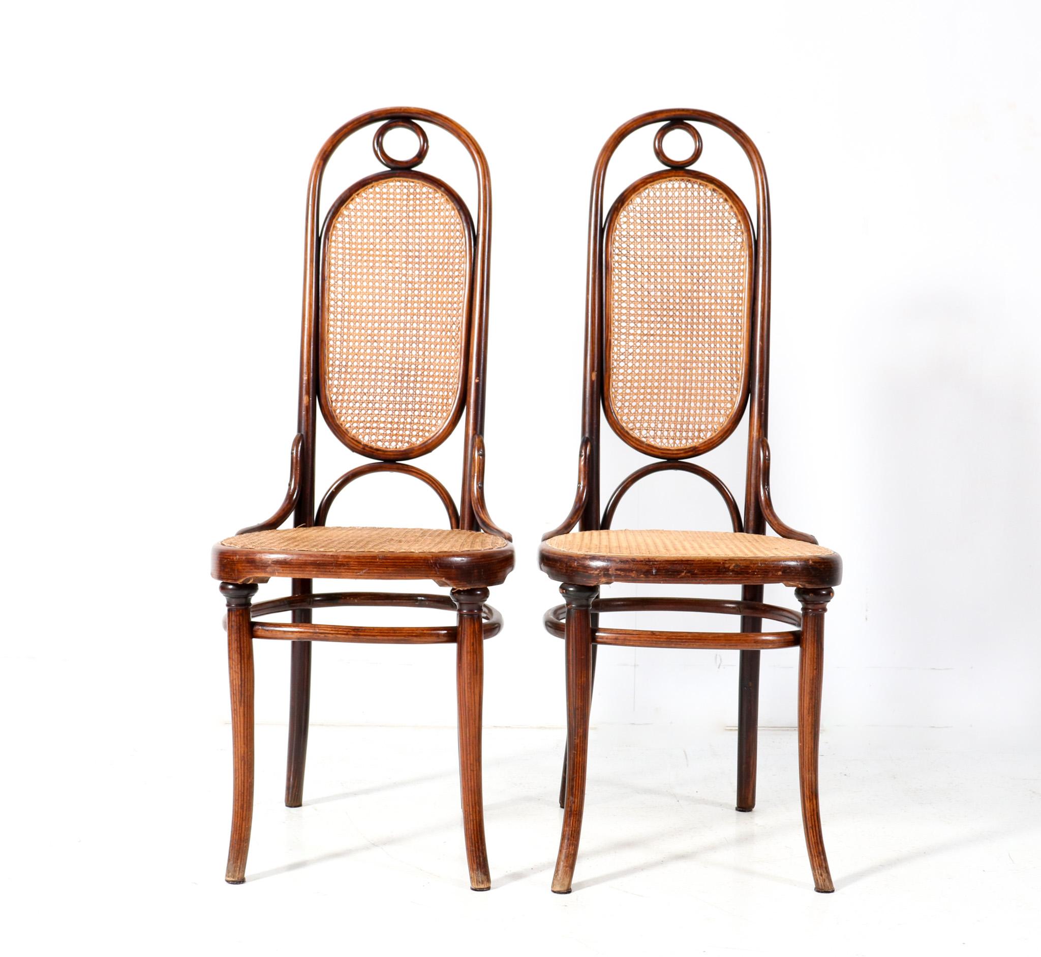 Magnifica e rarissima coppia di sedie laterali in stile Art Nouveau Model 17.
Design di Michael Thonet per Gebrüder Thonet Vienna.
Un sorprendente design austriaco del 1890.
Telaio originale in faggio e legno curvato con schienali e sedute originali