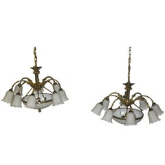 Vintage Pair of Bejorama Series 100 Solid Brass 8 Branch Chandeliers Spanish