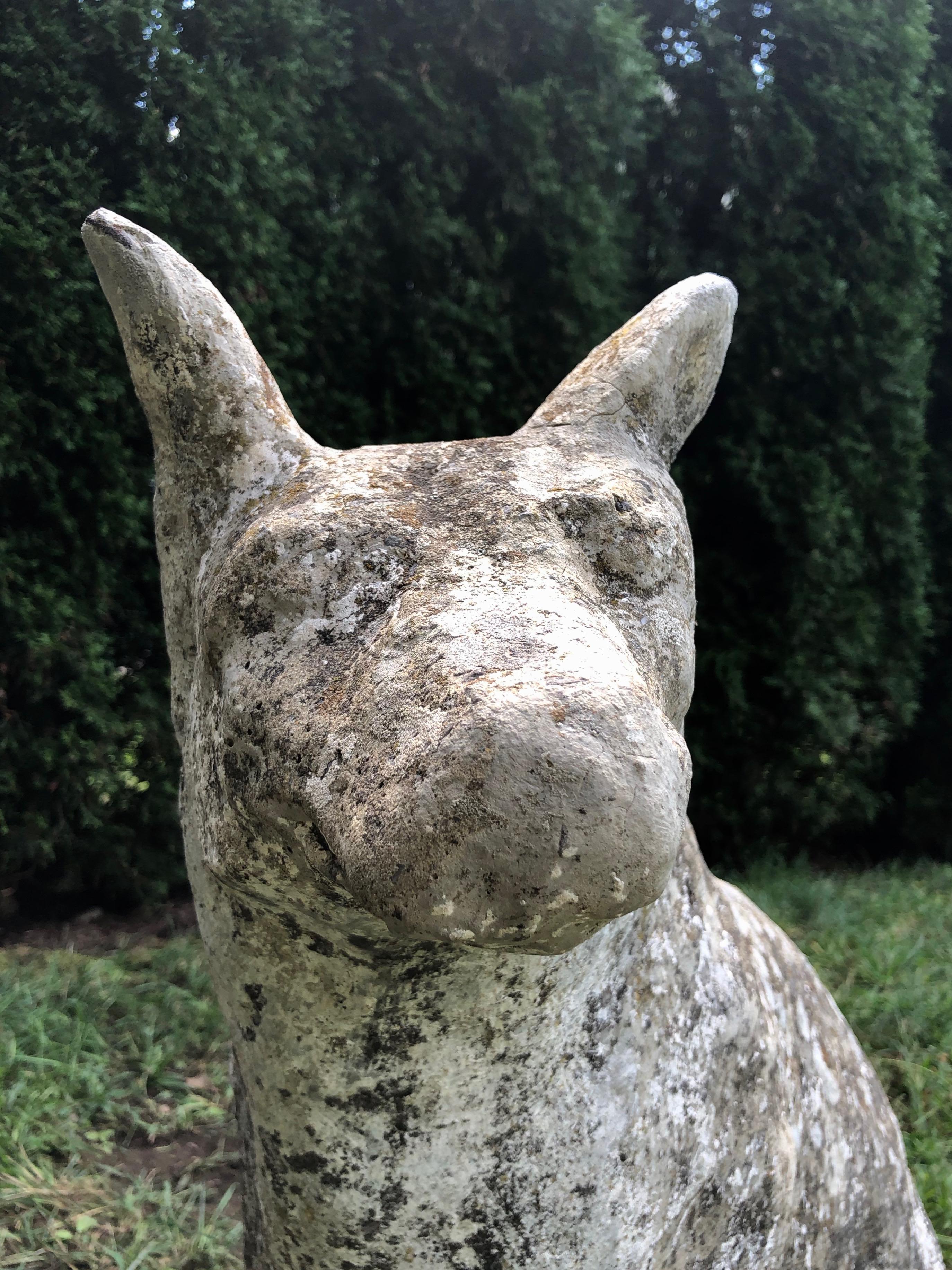australian shepherd garden statue