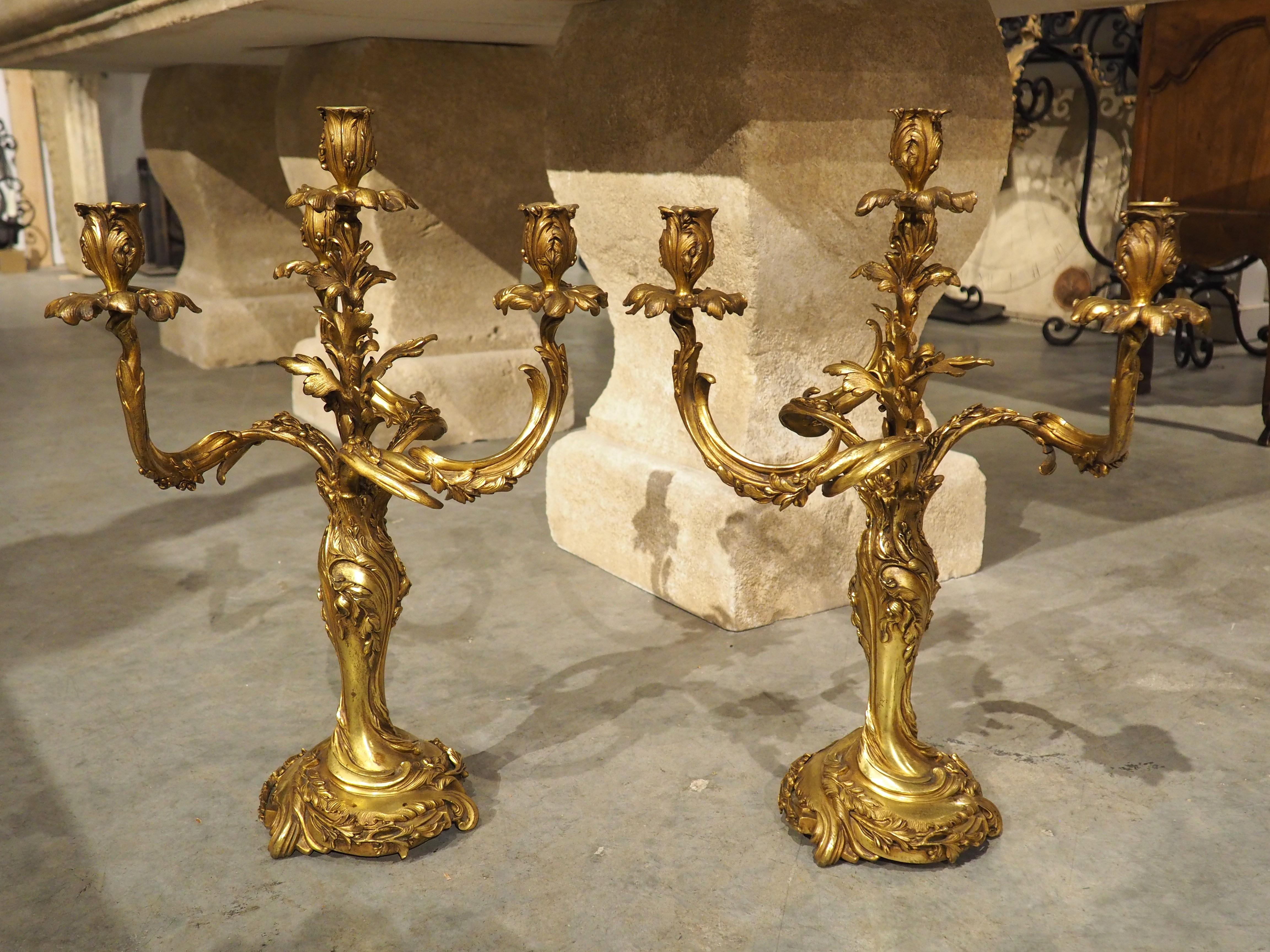 Full of life and movement, this pair of gilt bronze candelabras from Belgium (signed by Georges Van de Voorde) features four parted leaf bobeches topped by leaf cup capitals. The tallest sconce is positioned in the center of the other three, rising
