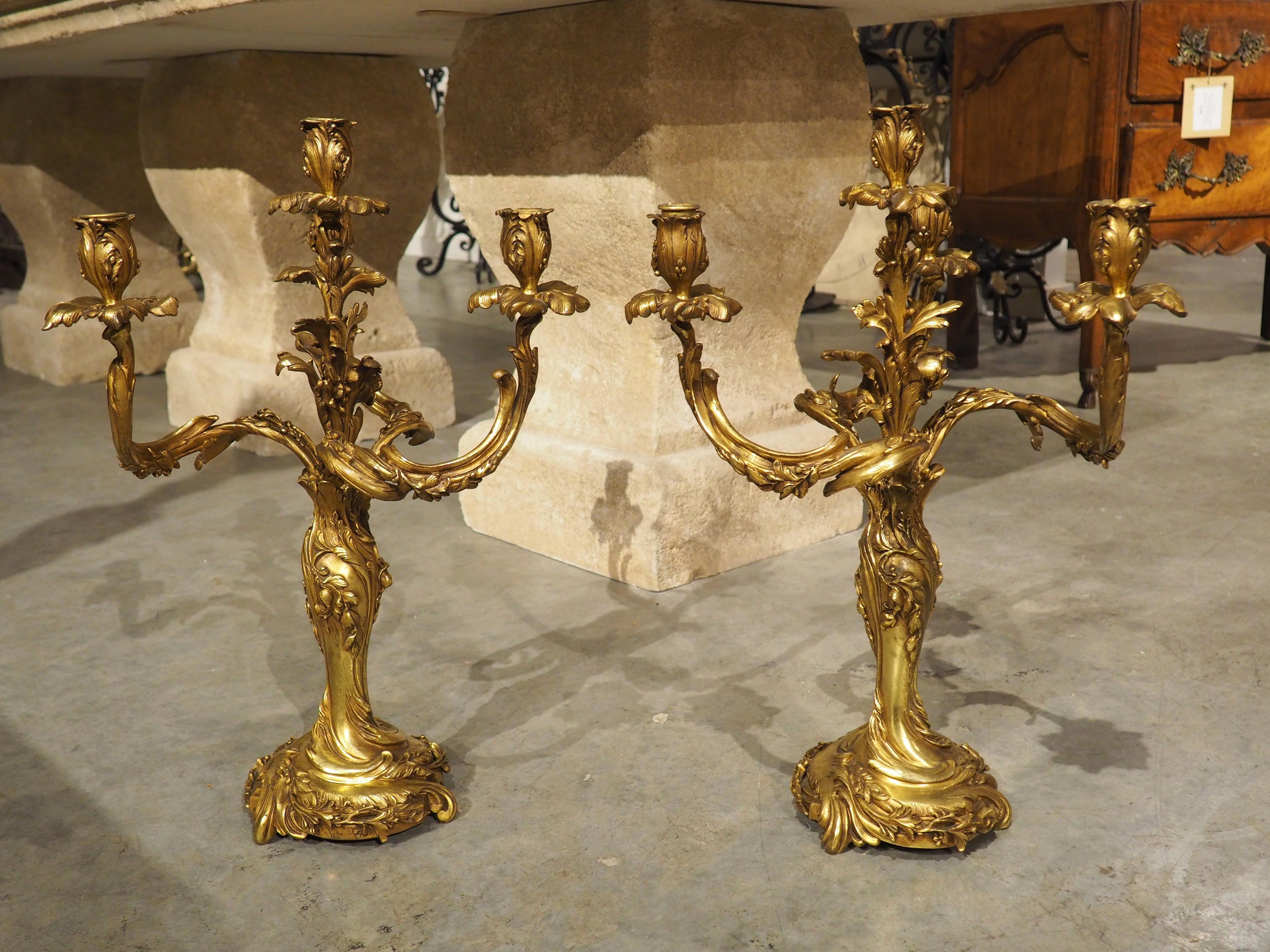 Art Nouveau Pair of Belgian Gilt Bronze Candelabras by Georges Van de Voorde (1878-1970)