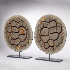 Pair of Belgium Calcite Septarian Nodule Natural Form on Custom Metallic Stand