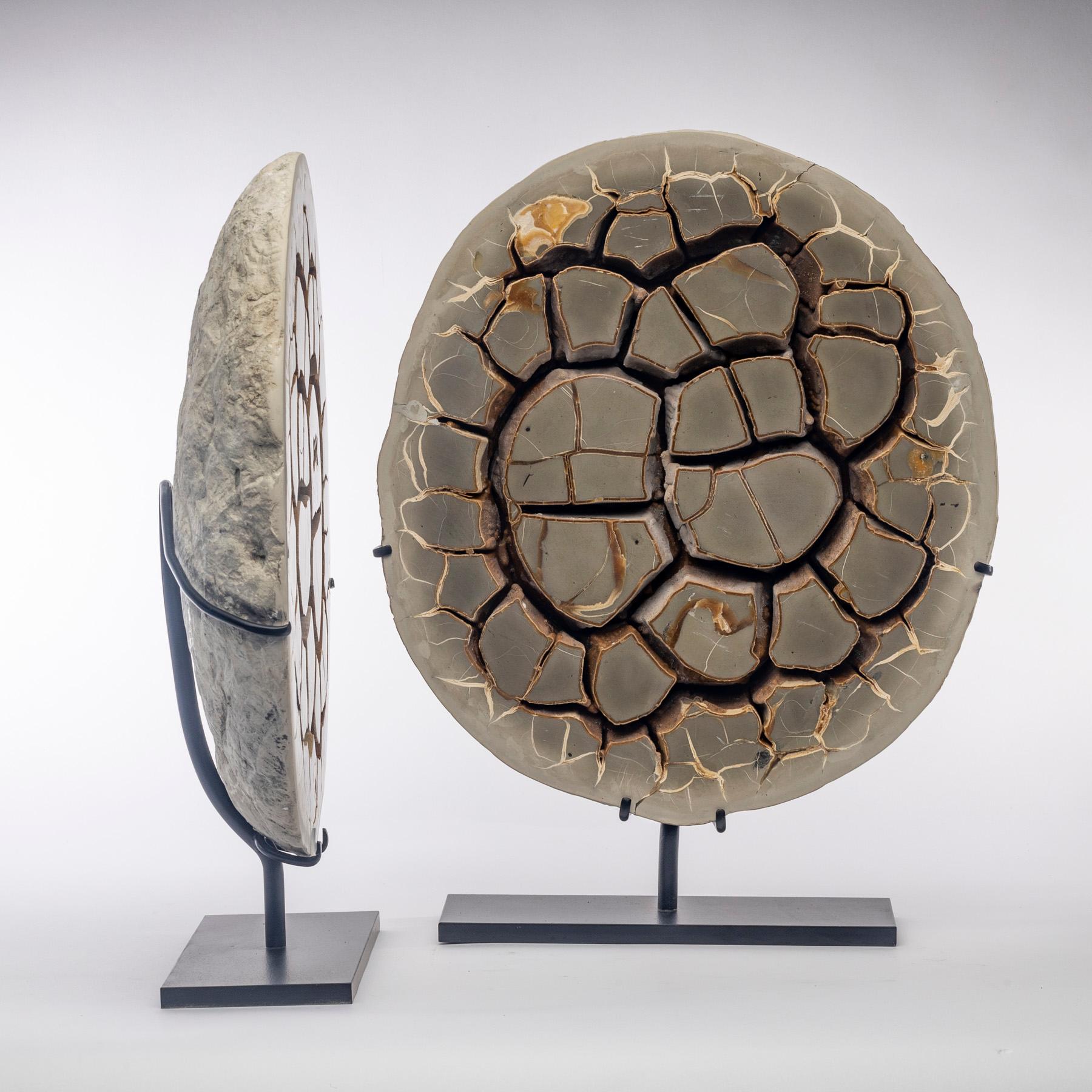 Mexican Pair of Belgium Calcite Septarian Nodule Natural Form on Custom Metallic Stand For Sale