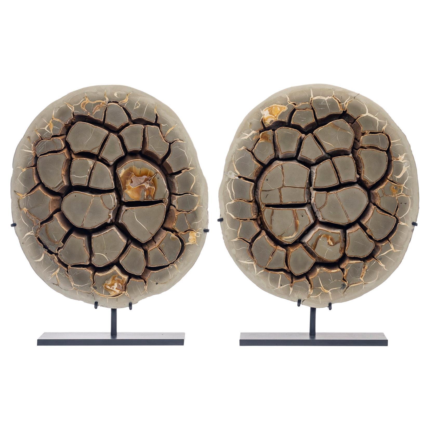 Pair of Belgium Calcite Septarian Nodule Natural Form on Custom Metallic Stand For Sale