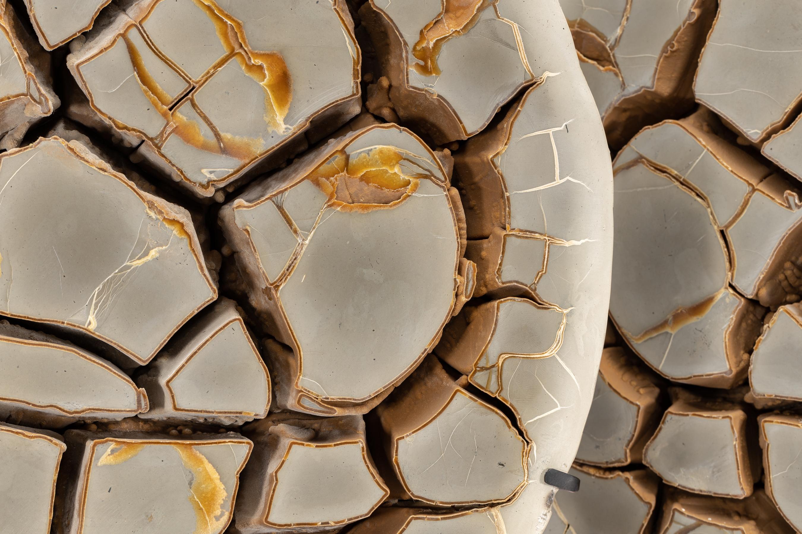 septarian nodule price