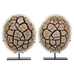 Pair of Belgium Calcite Septarian Nodule Natural Form on Metallic Base