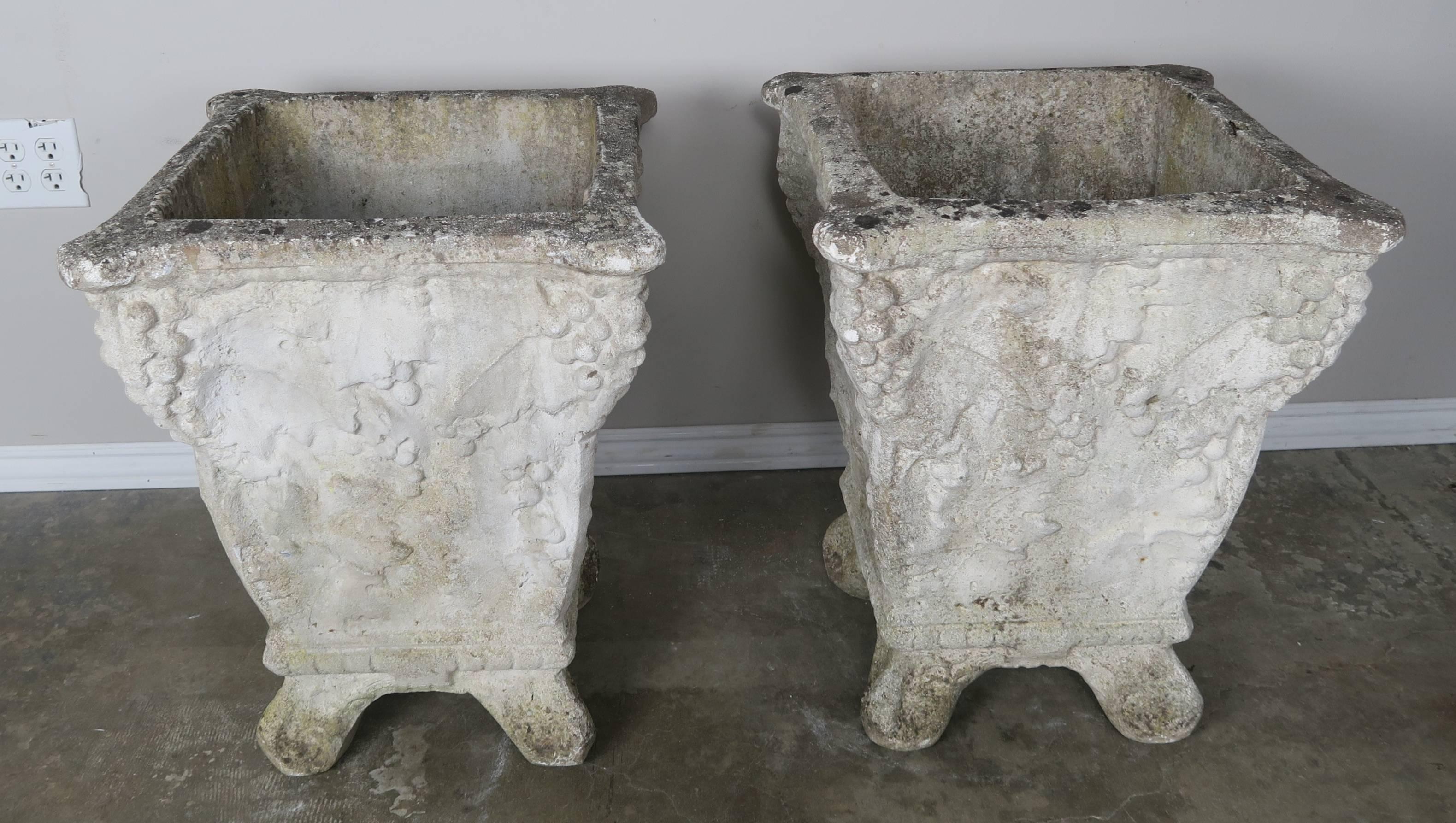 Gustavian Pair of Belgium Cement Planters with Grapes, 1920s