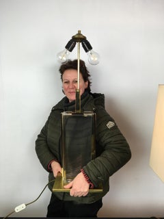 Pair of Lucite and Brass Belgo Chrome Table Lamps, 1970s