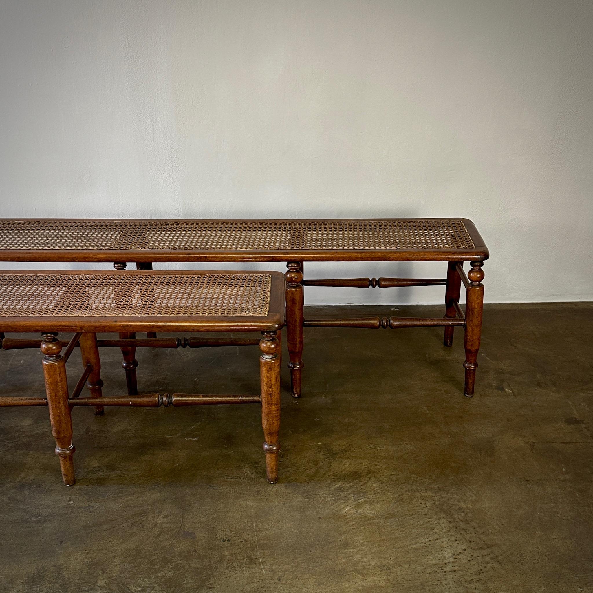 Mid-19th Century Pair of Benches For Sale