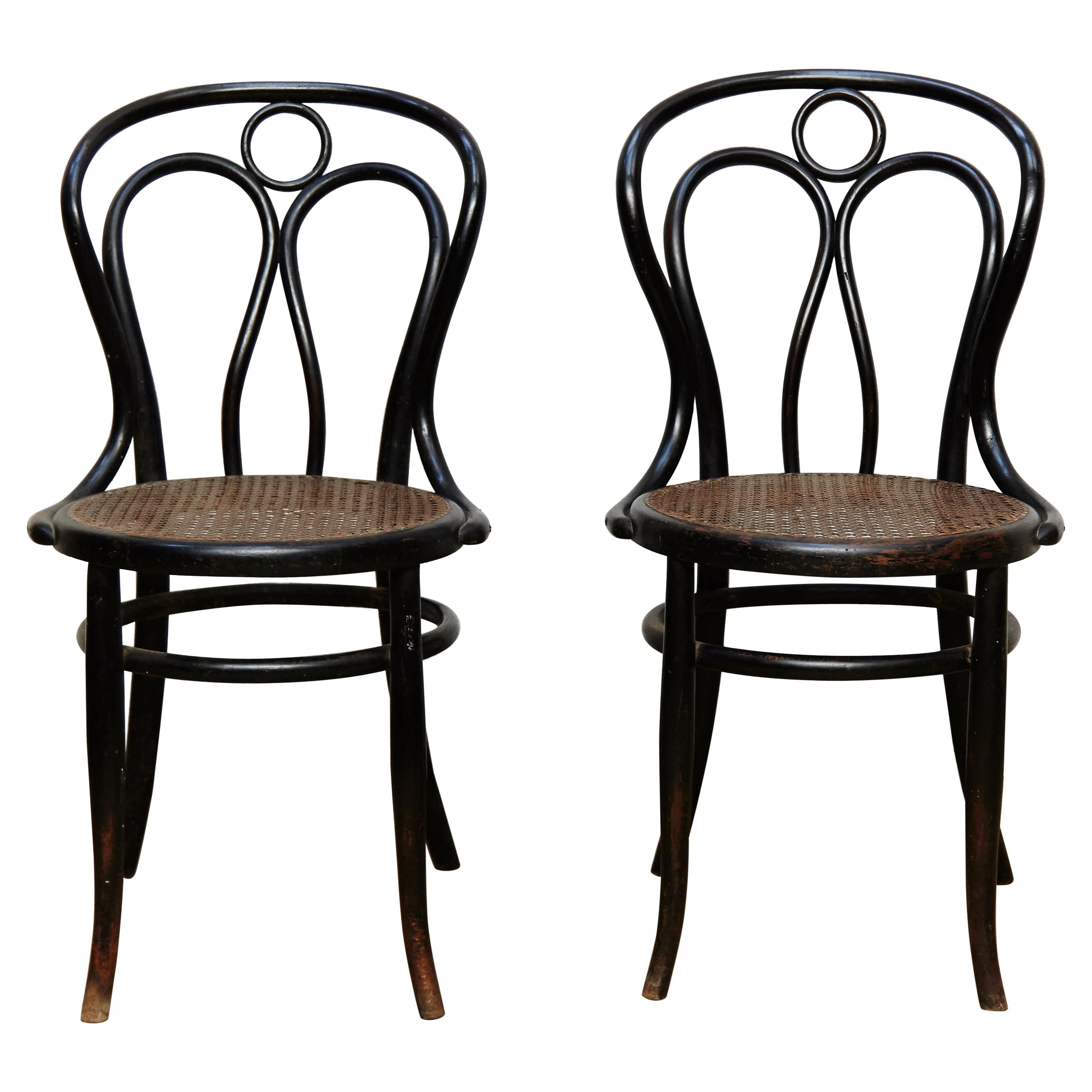 Pair of Bentwood and Rattan Hofman Black Chairs, circa 1900