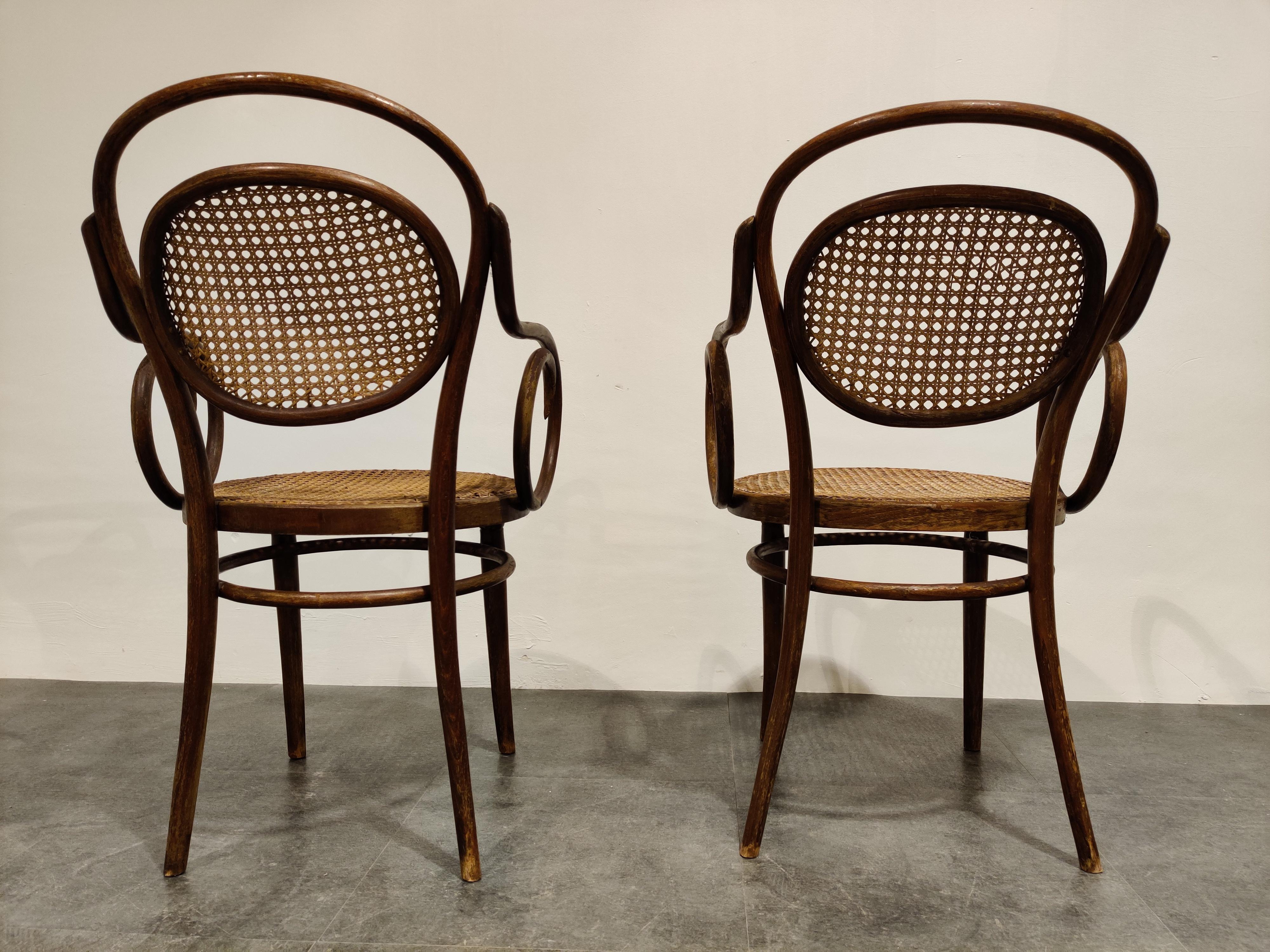 Rattan Pair of Bentwood Armchairs by ZPM Radomsko, 1920s