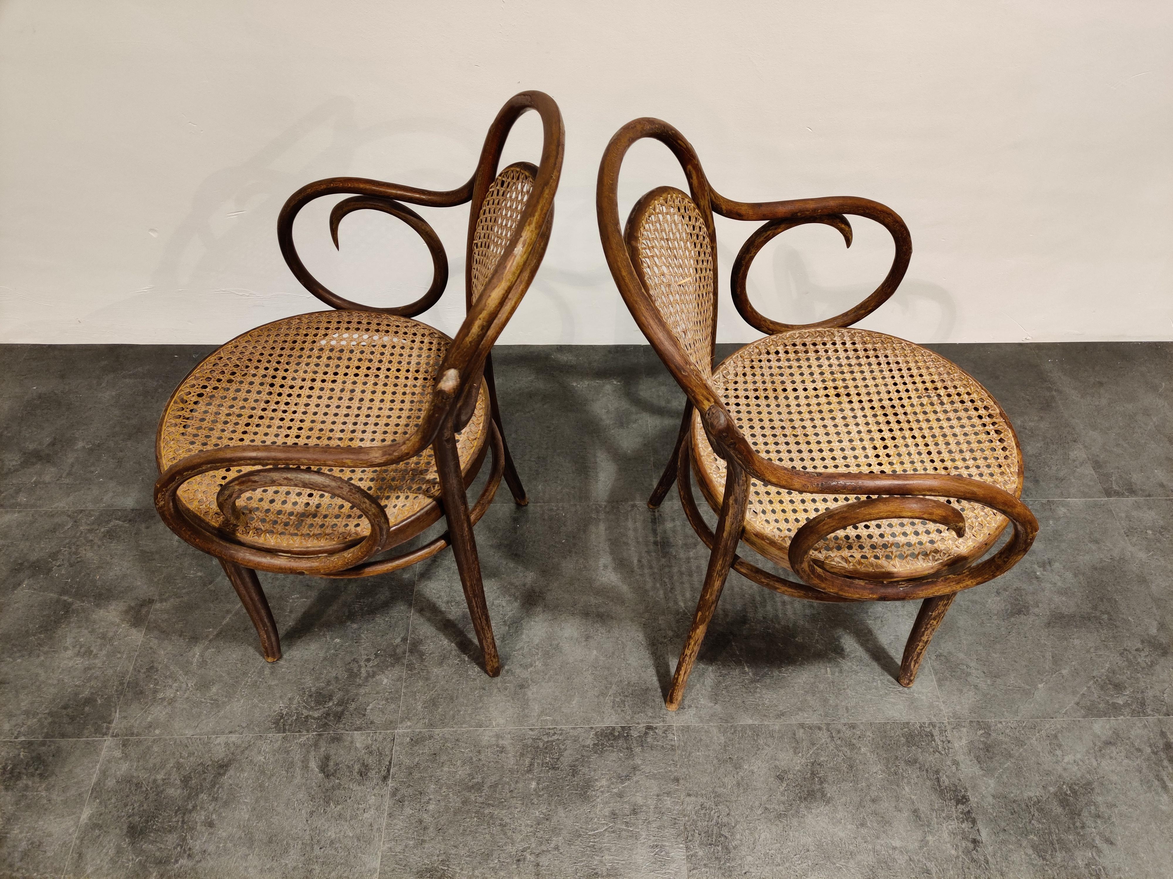 Pair of Bentwood Armchairs by ZPM Radomsko, 1920s 1