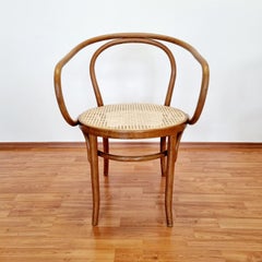 Pair of Bentwood Armchairs Model B9-209 by Ligna,  60s