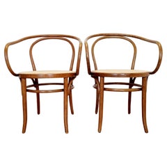 Pair of Bentwood Armchairs Model B9-209 by Ligna,  60s