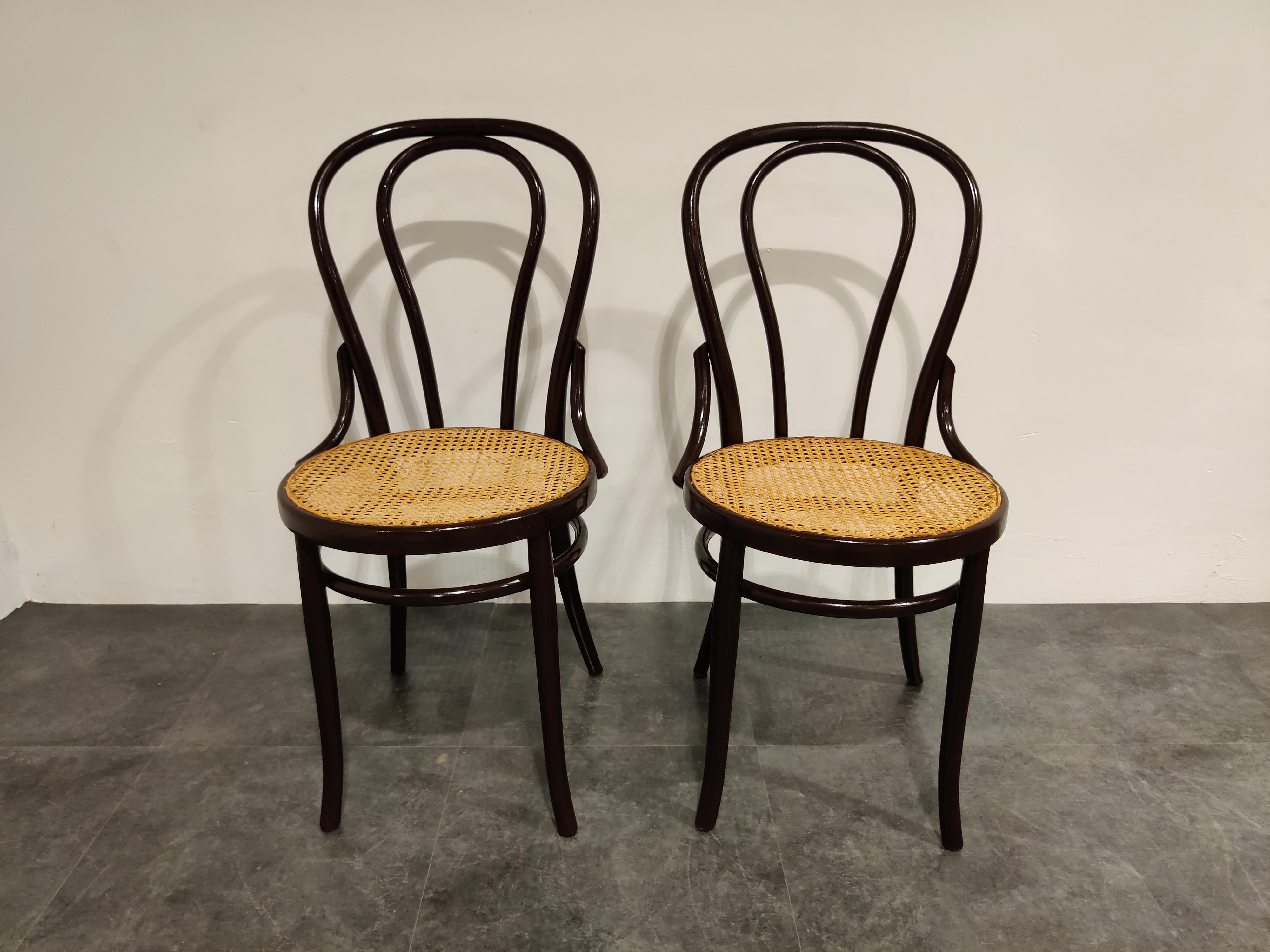 Art Nouveau Pair of Bentwood Bistro Chairs, 1950s