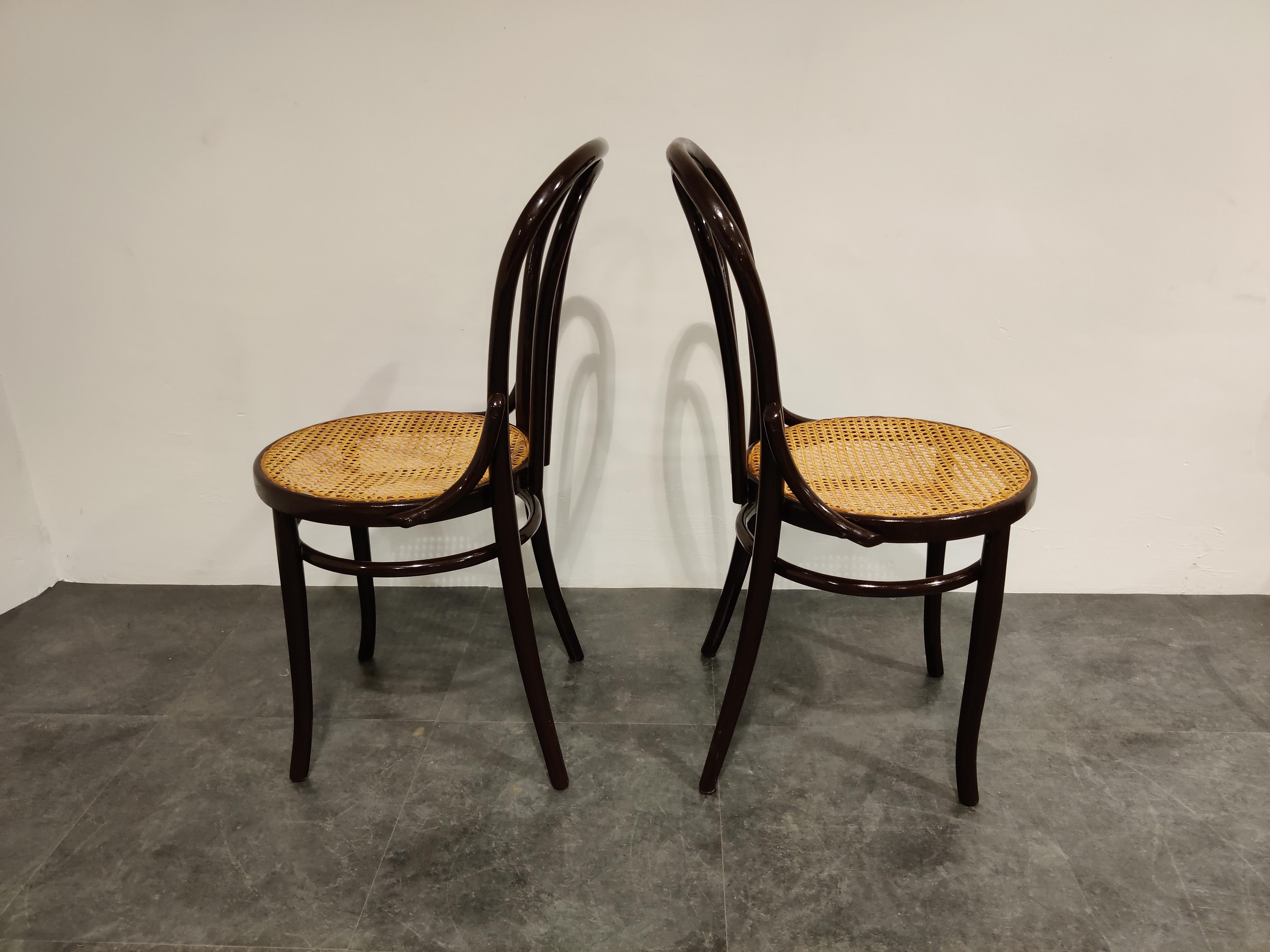 Austrian Pair of Bentwood Bistro Chairs, 1950s