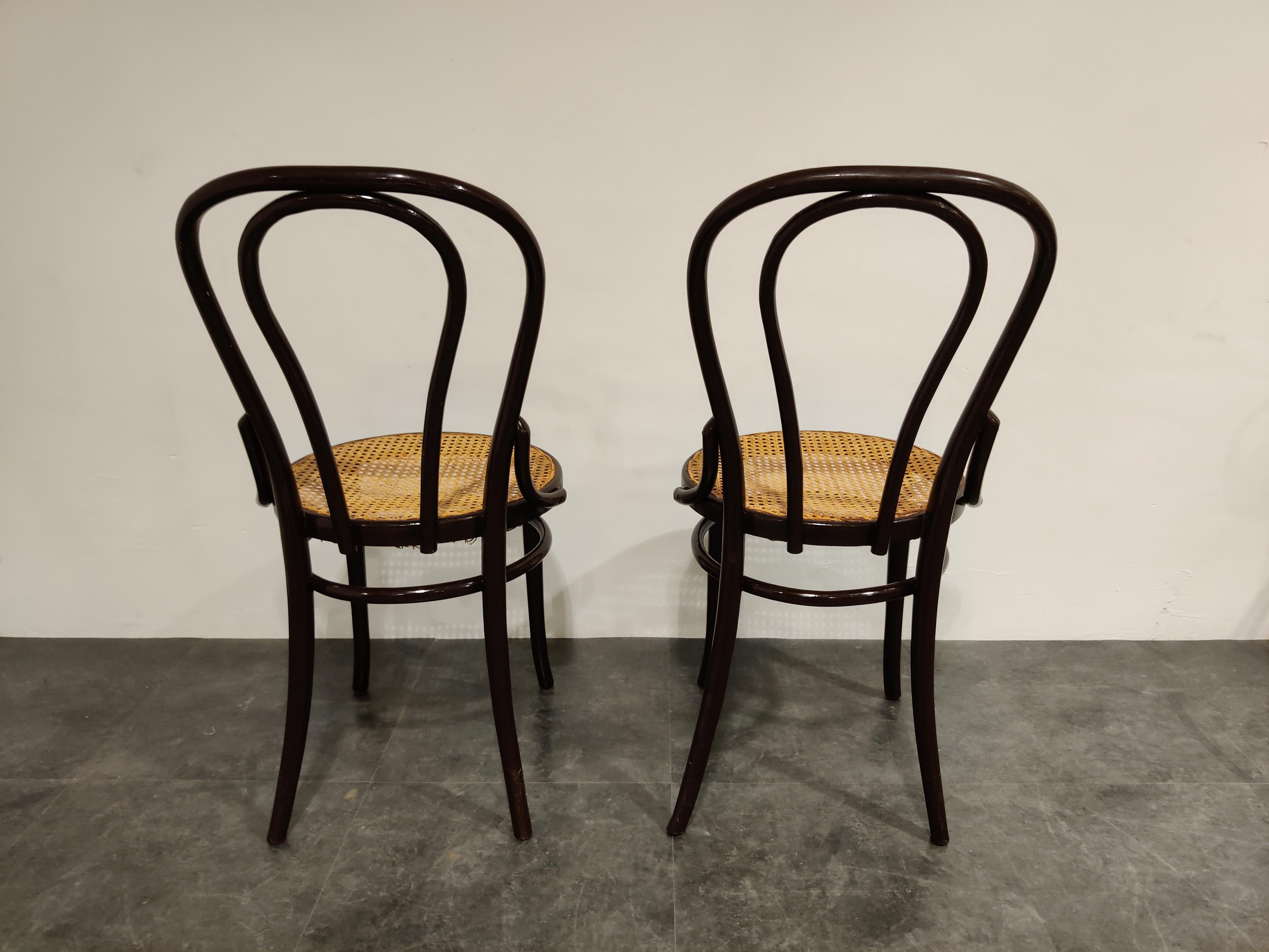 Pair of Bentwood Bistro Chairs, 1950s In Good Condition In HEVERLEE, BE