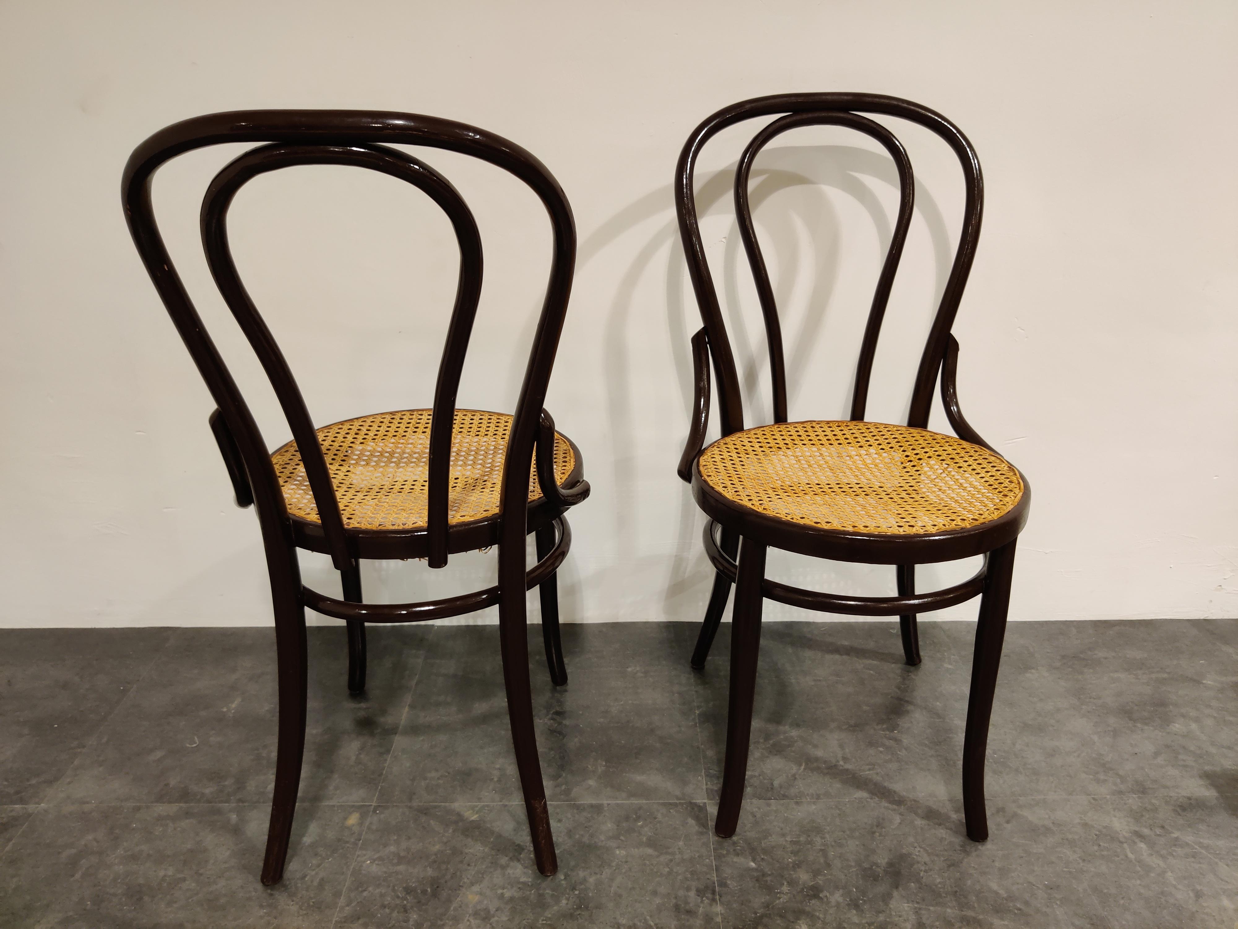 Mid-20th Century Pair of Bentwood Bistro Chairs, 1950s