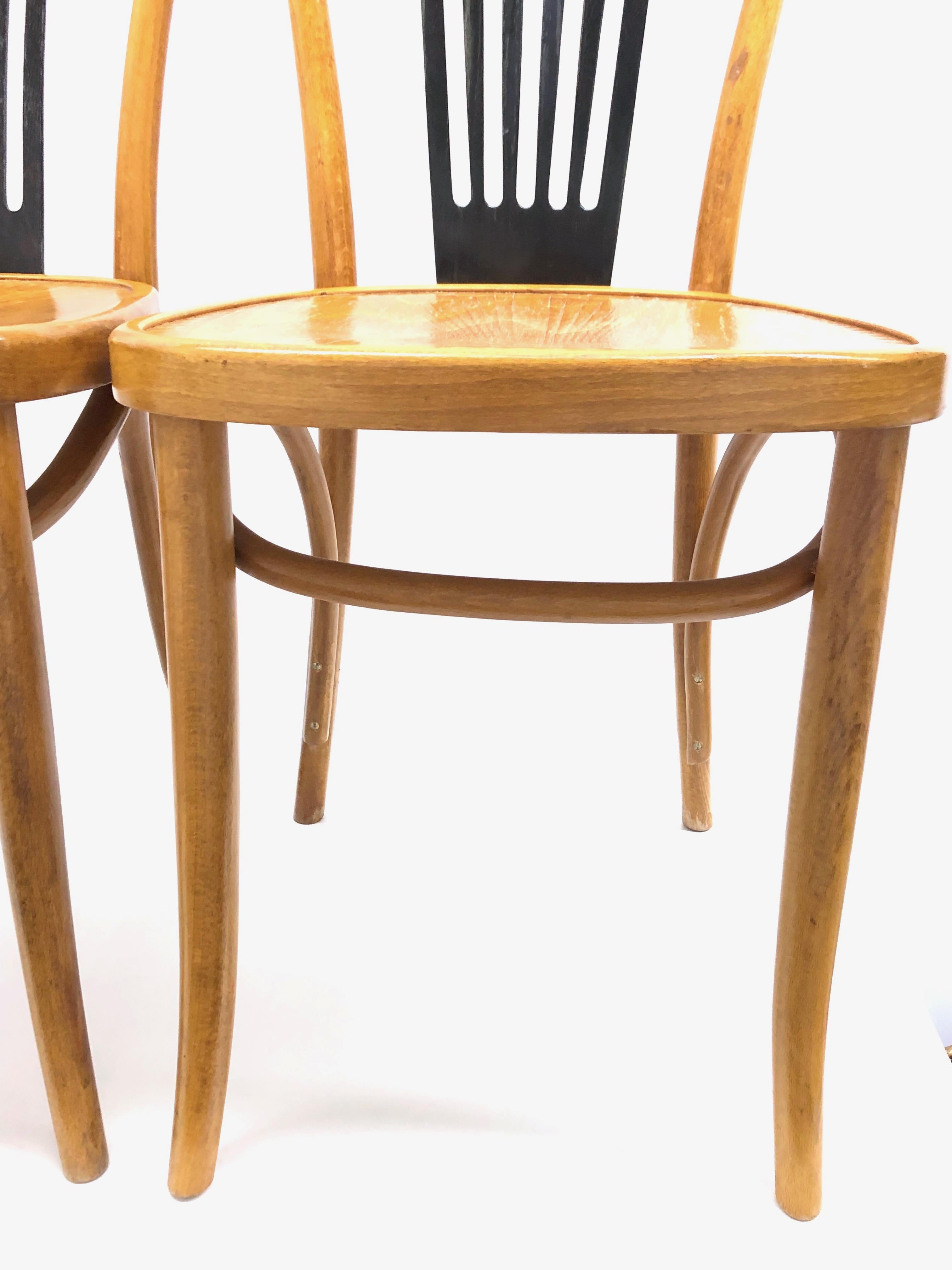 Mid-20th Century Pair of Bentwood Chairs made by ZPM Radomsko, Poland for Mobilair, Germany