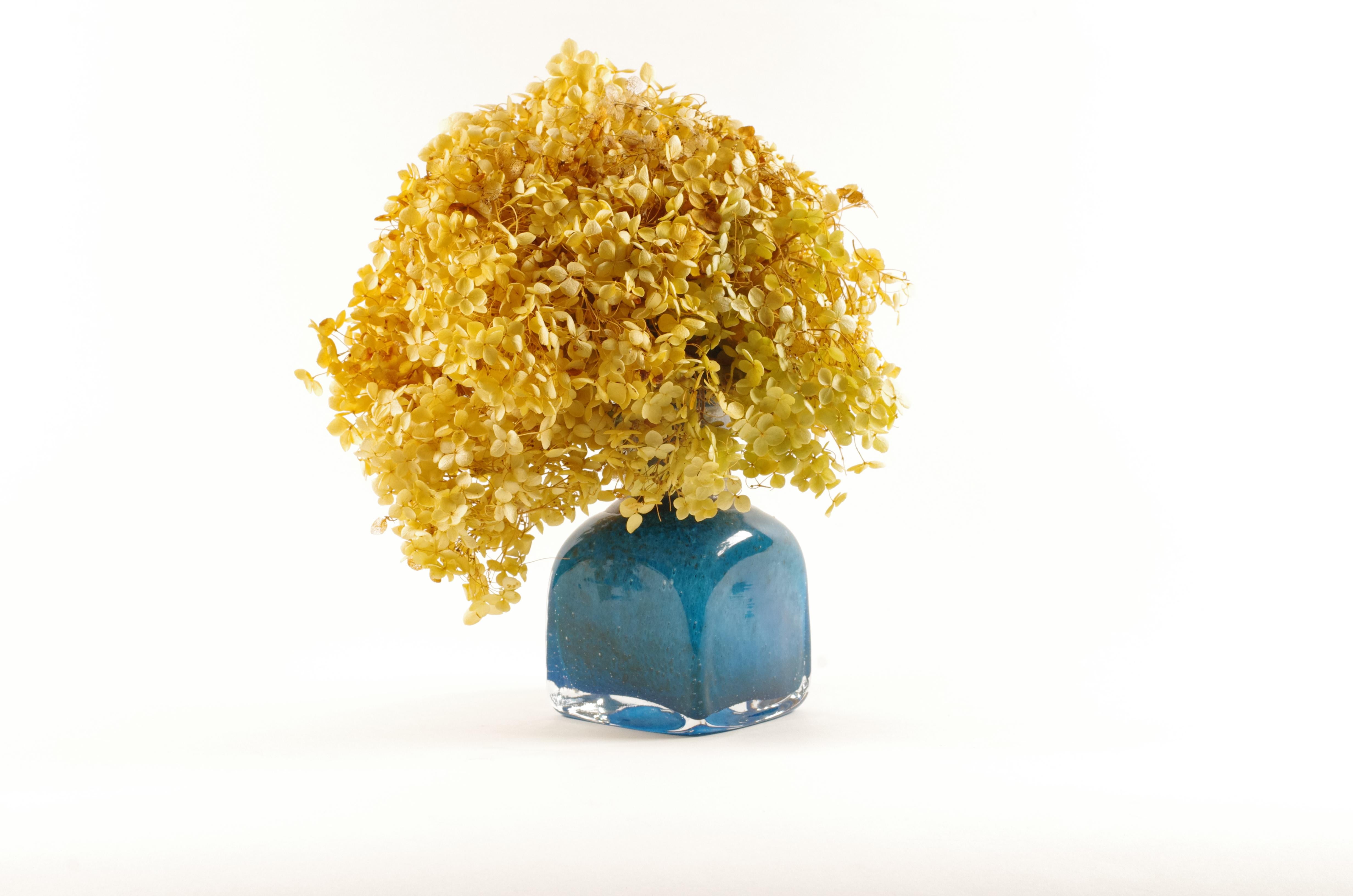 Coppia di vasi in vetro 