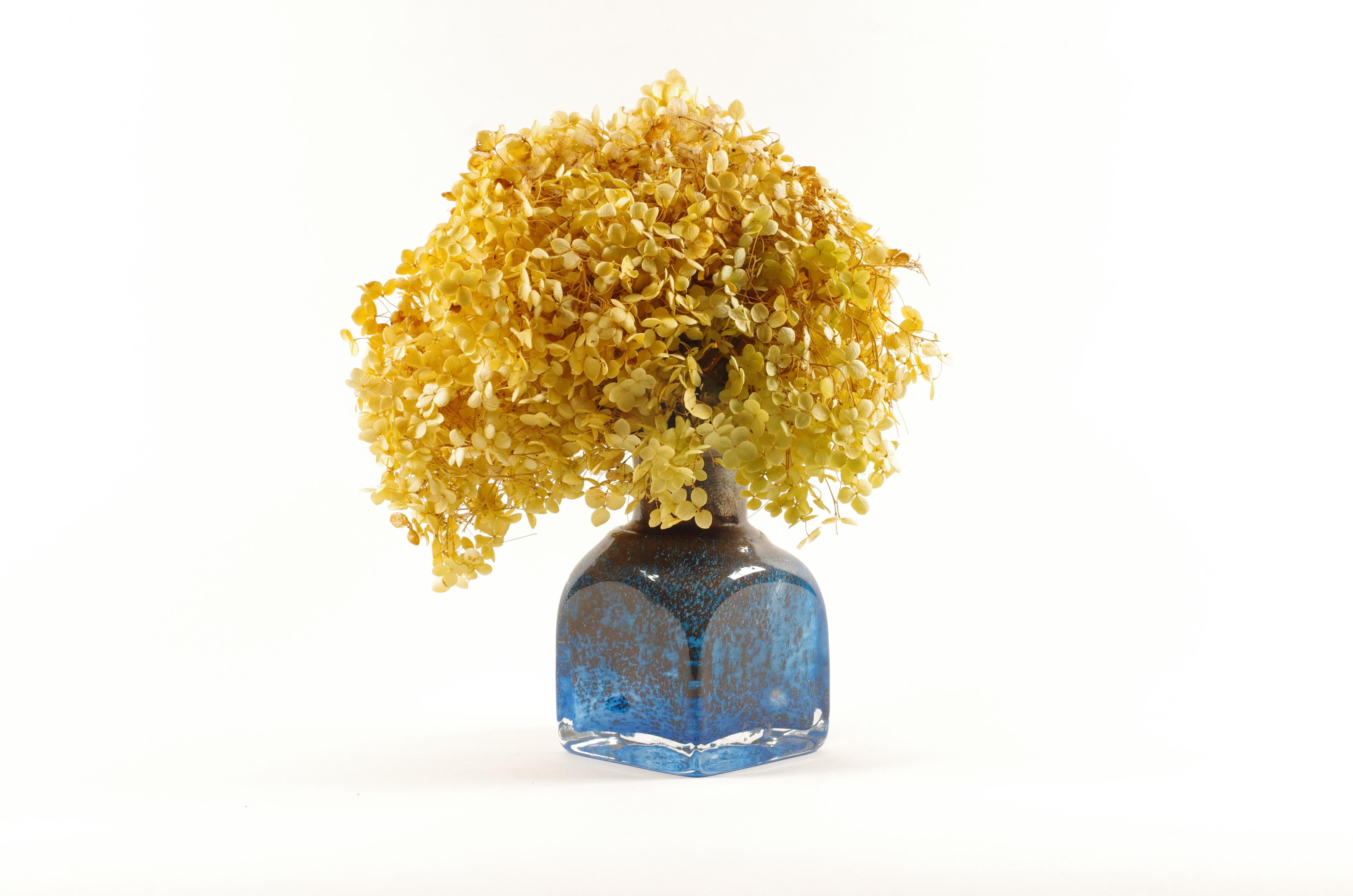 Coppia di vasi in vetro 