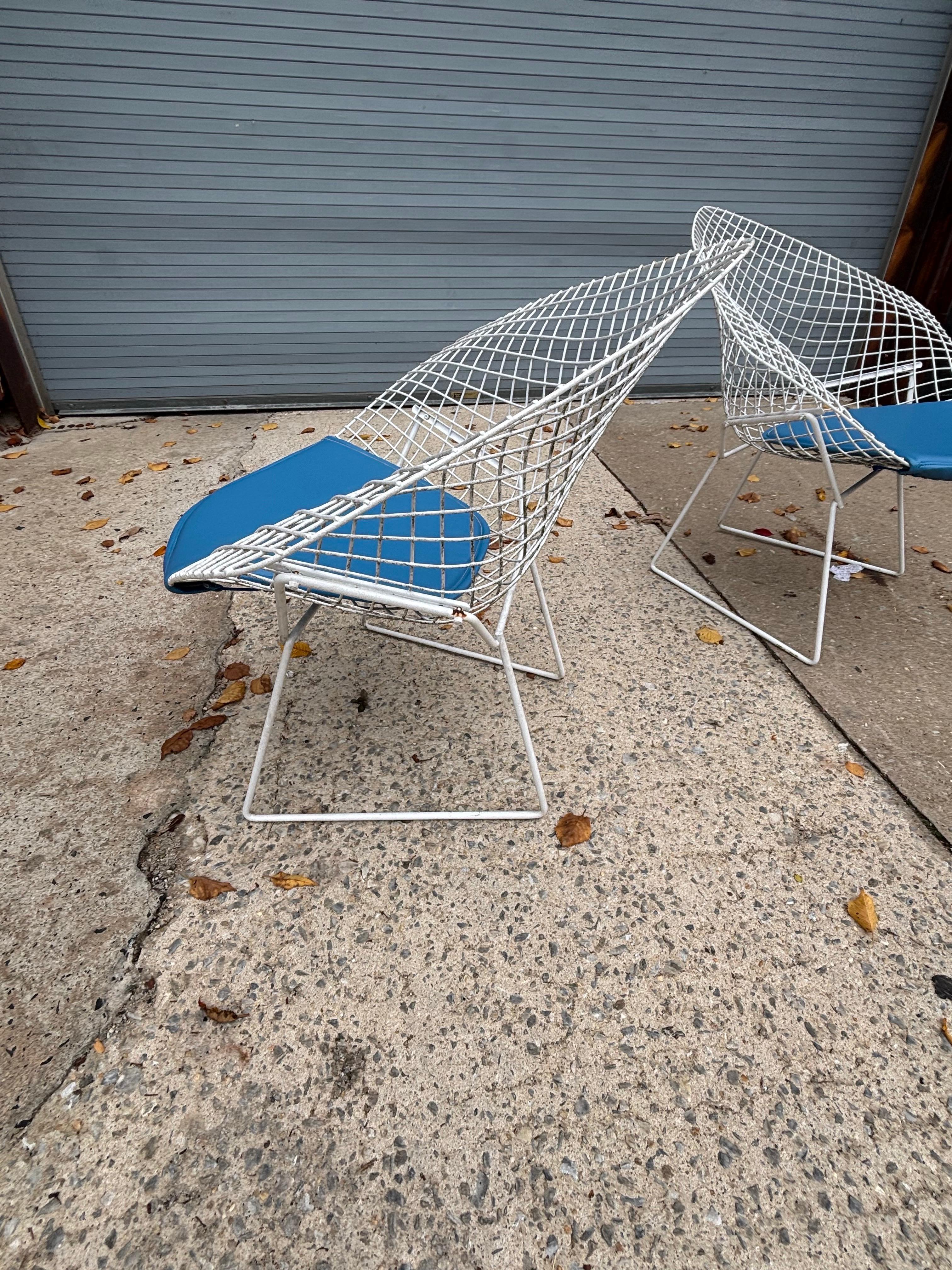 Paire de petites chaises Bertoia pour Knoll Bon état - En vente à Philadelphia, PA