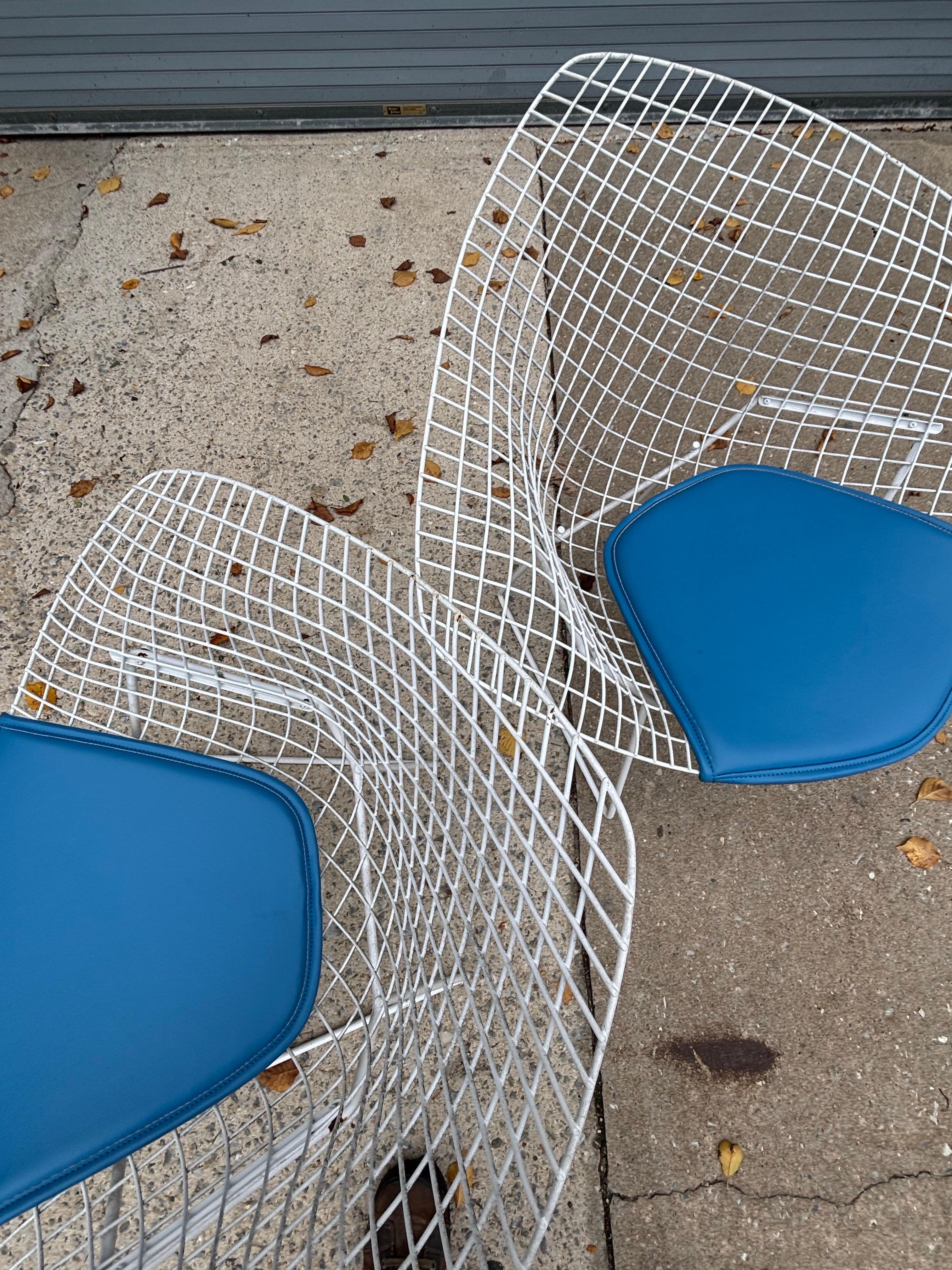 Paire de petites chaises Bertoia pour Knoll en vente 2