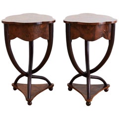 Pair of Biedermeier Bent Leg Burl Wood Tables